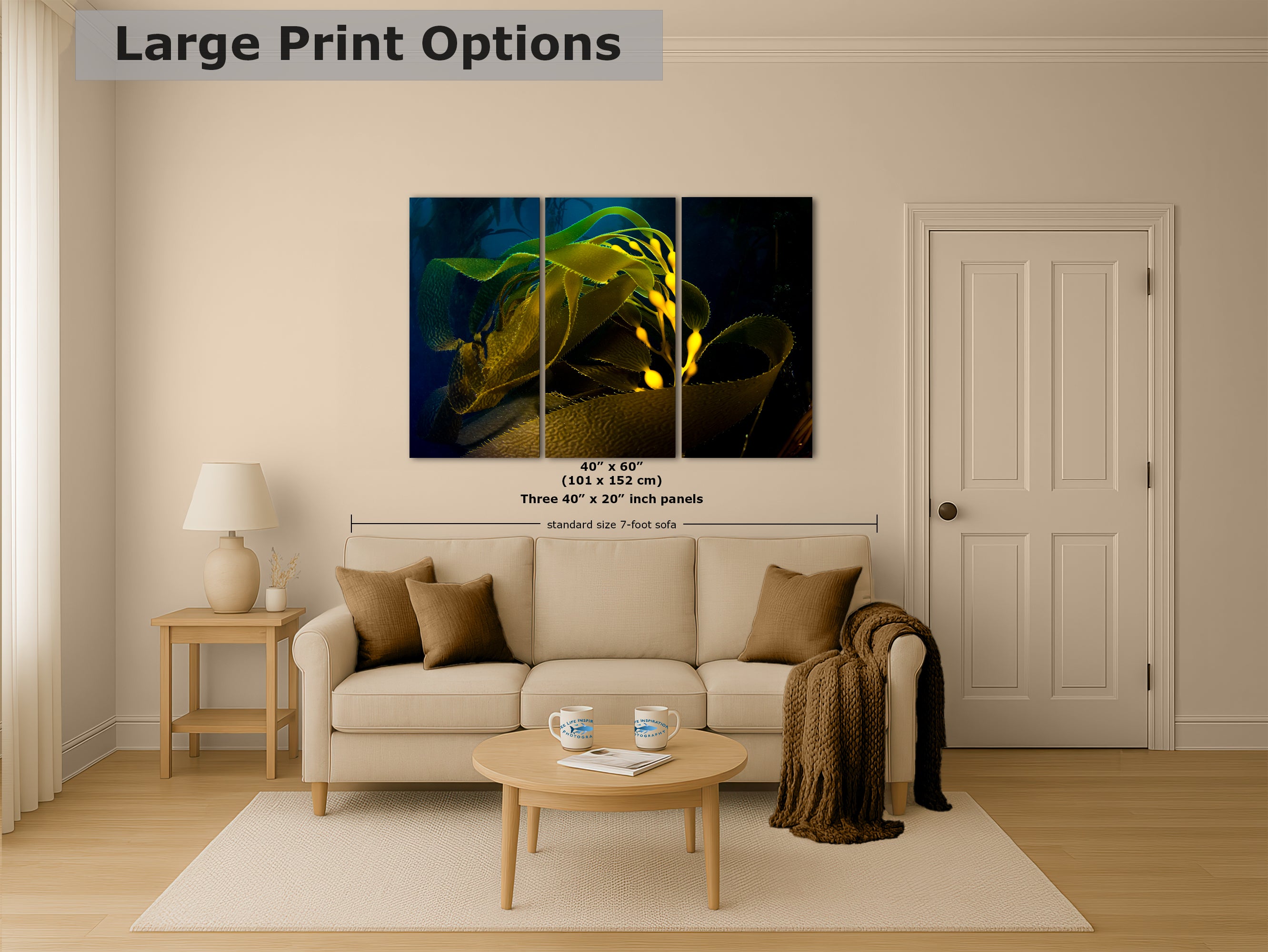 Kelp forest seaweed pictures underwater scenery, ocean life marine biology art, relaxation decor, ocean lover gift, deep sea nature photo