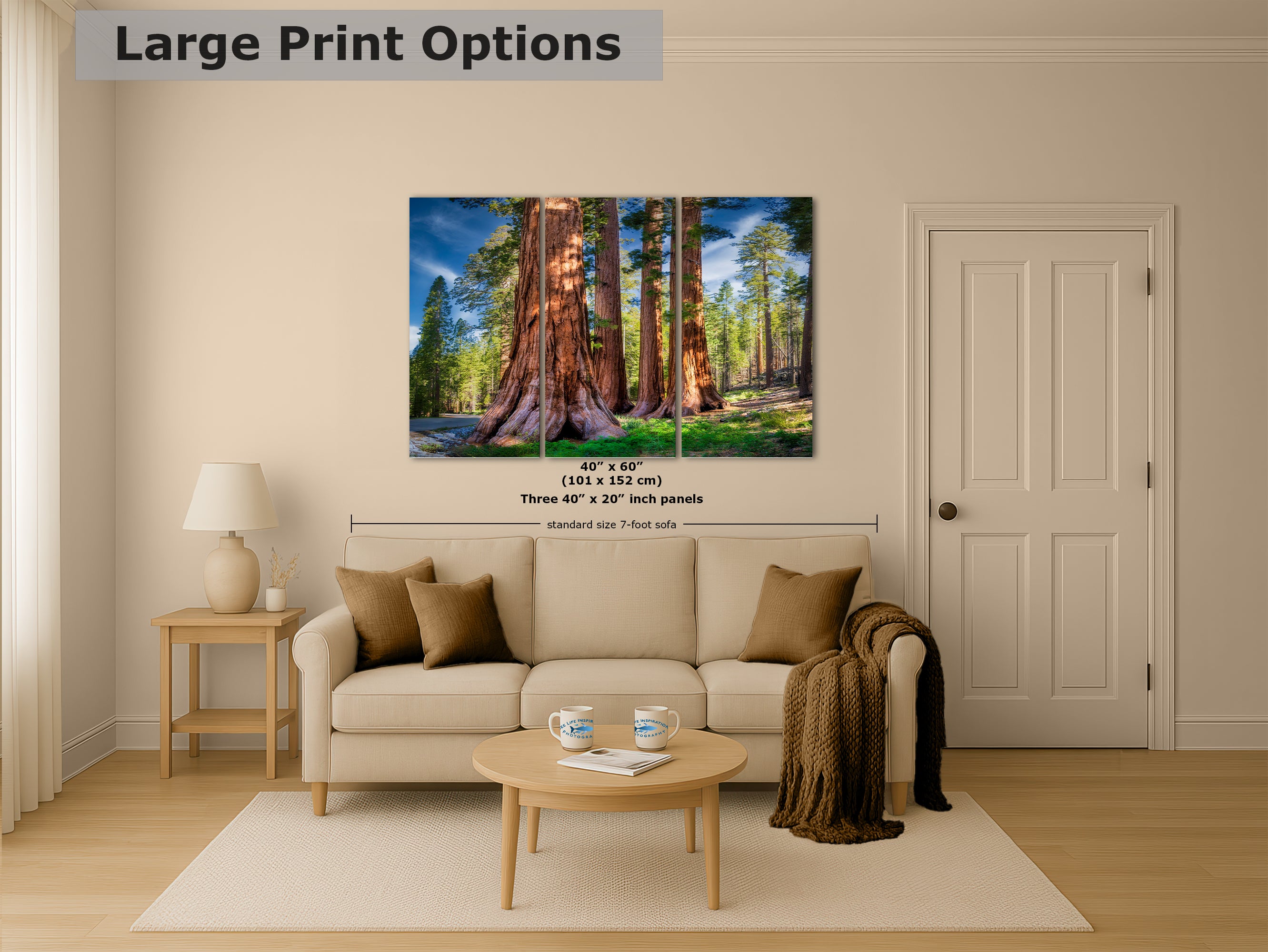 Giant Sequoia Tree Forest Picture Nature Photo, Redwood Trees Forest Bathing for Relaxation and Meditation in Living Room and Office