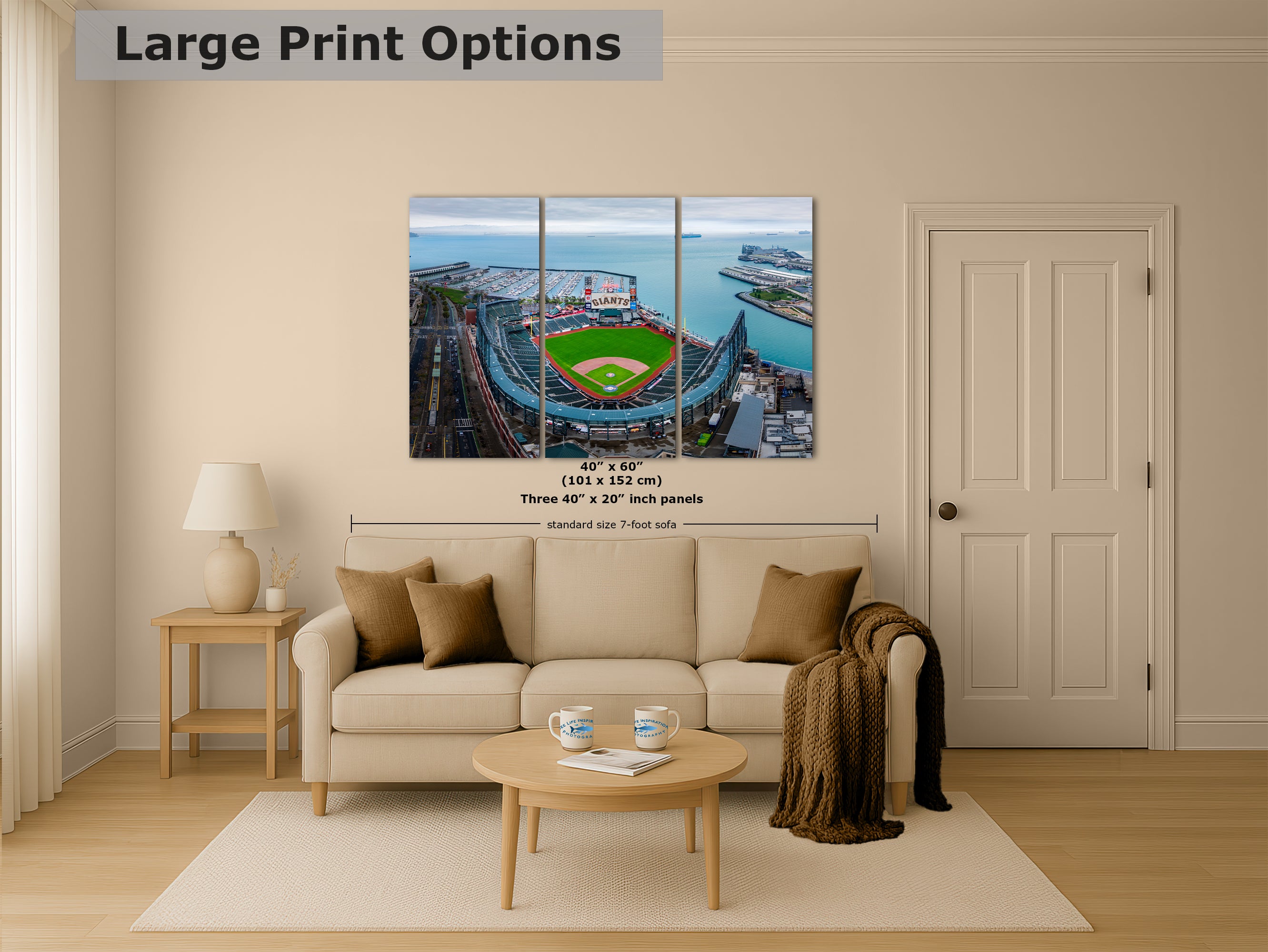 San Francisco Giants Baseball Stadium, Oracle Park Canvas Print