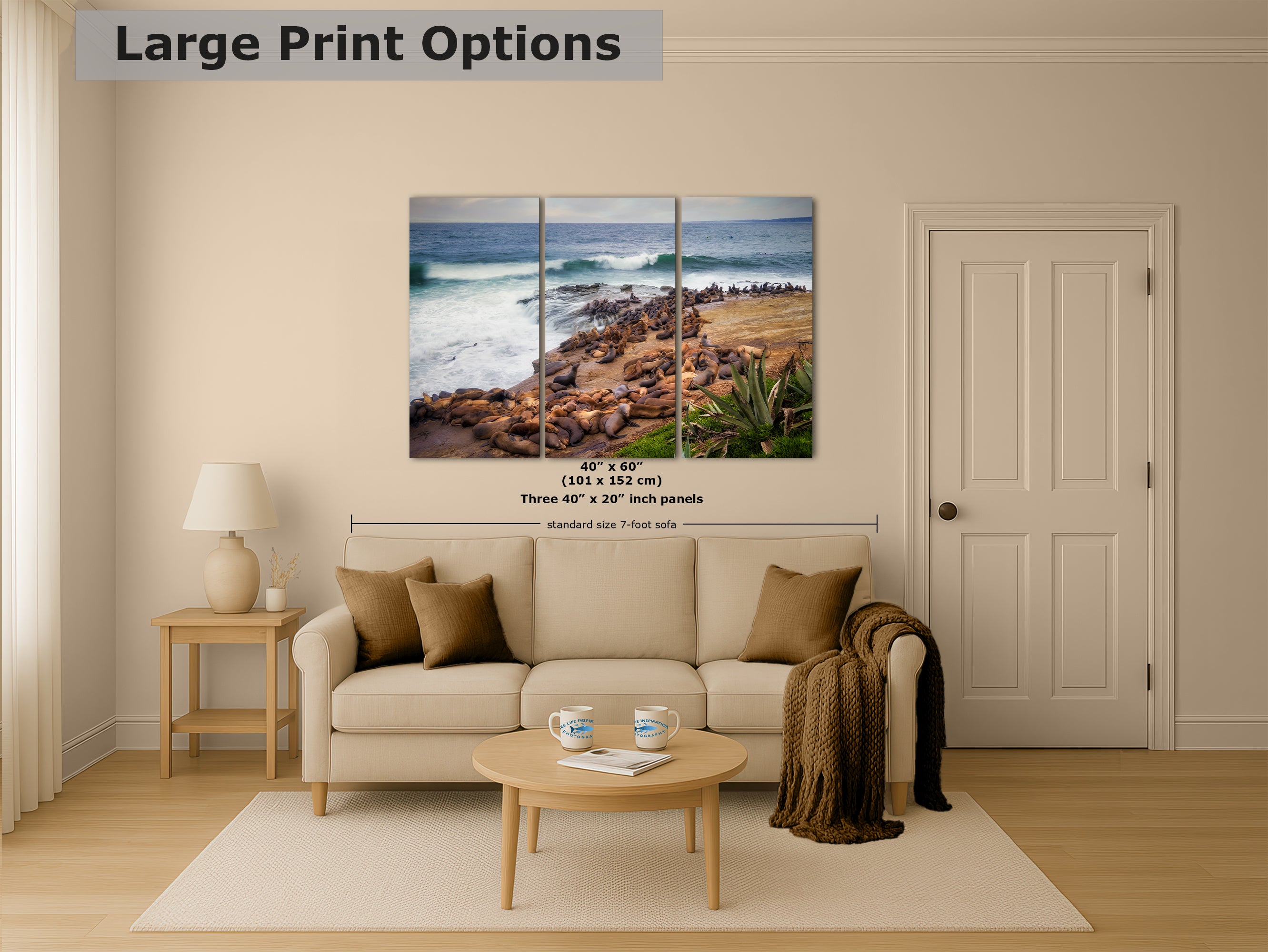 California Sea Lion Marine Mammal Wildlife Photography | Calming Nature Ocean Picture, Relaxation Artwork, La Jolla Coast, Nature Photo