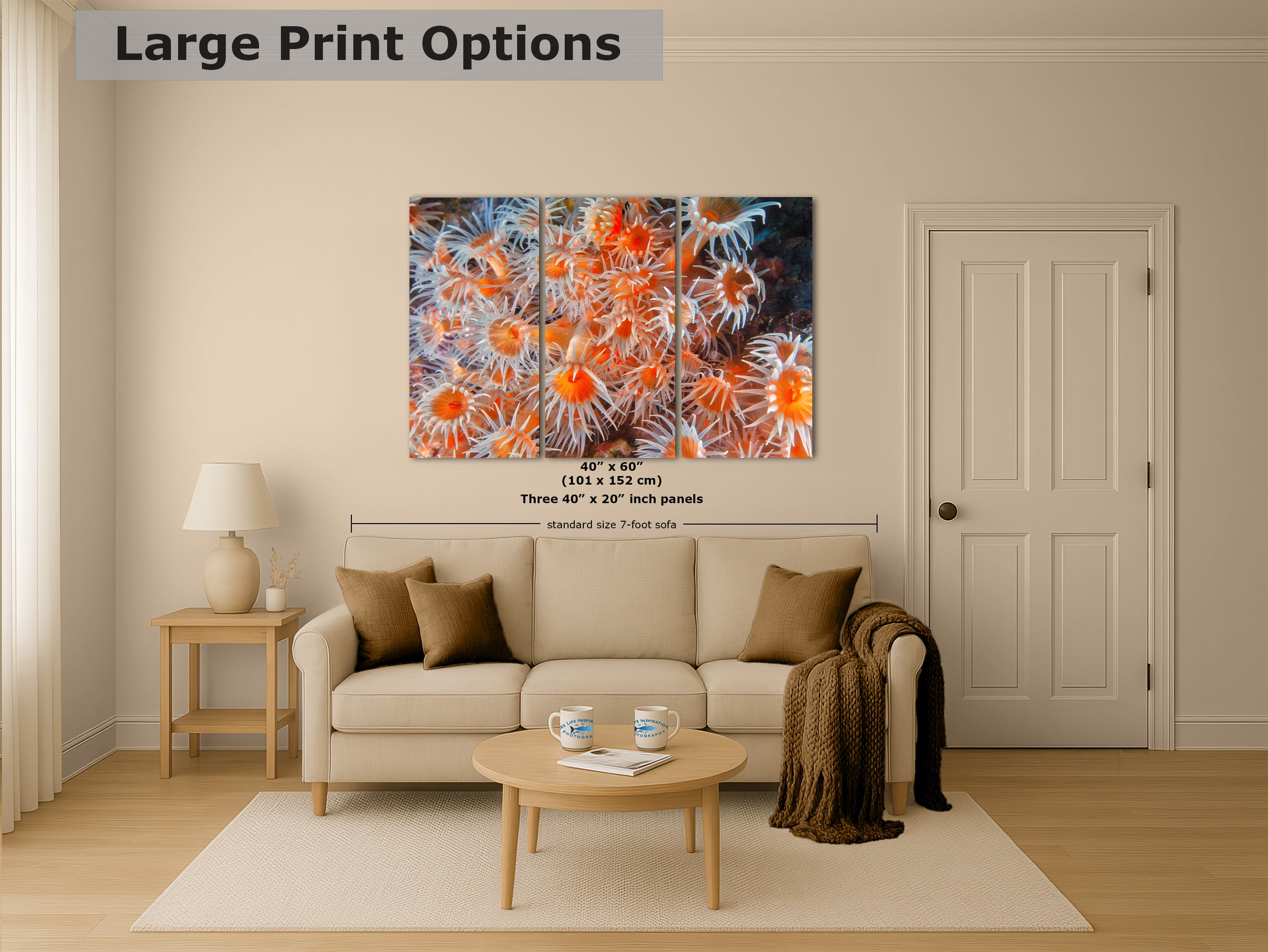 Sea Anemone Picture Ocean Life Underwater Scenery Nature Photo, Vibrant Coral Reef Wall Art, Marine Biology Gift for Ocean Lover