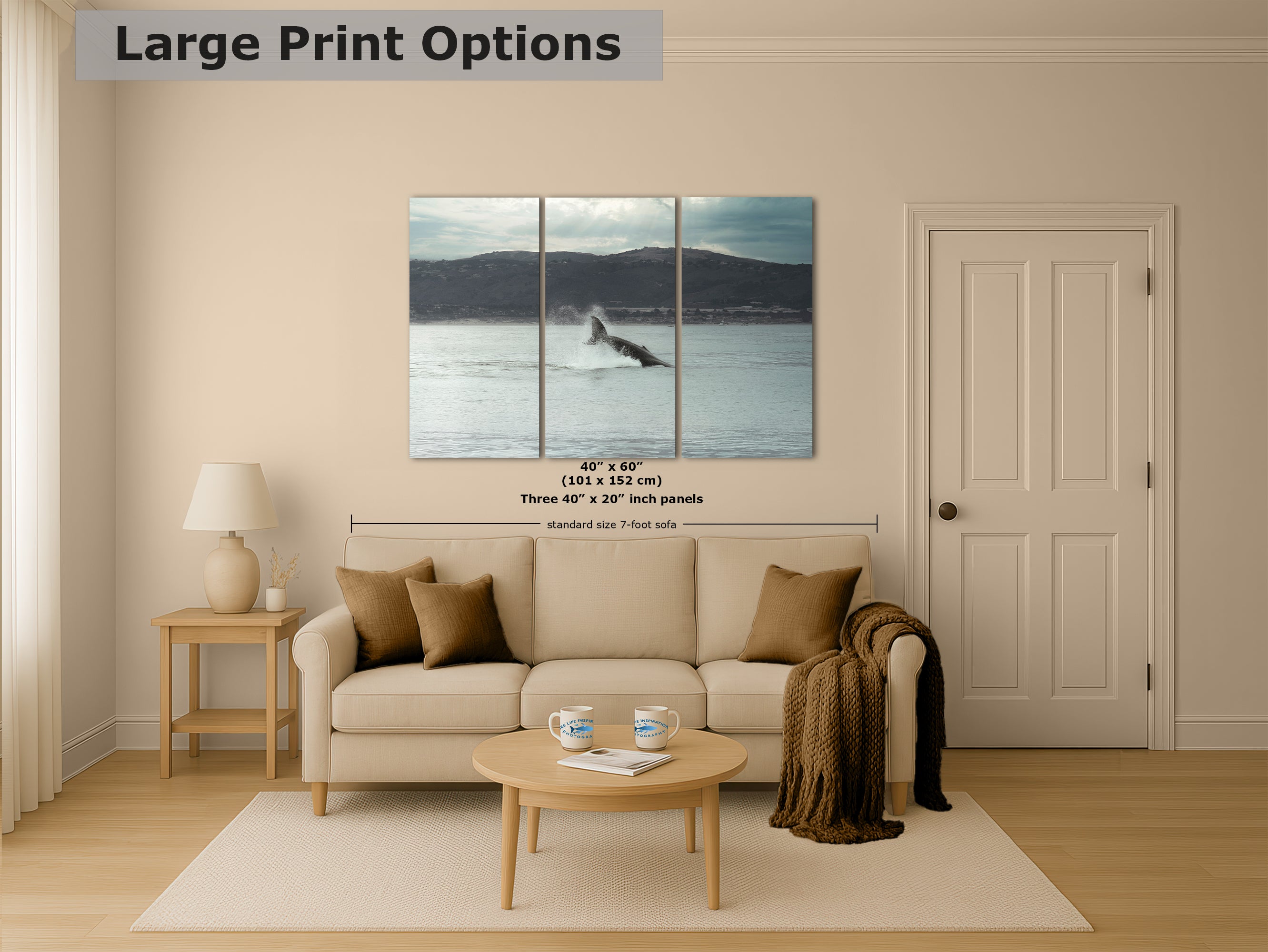 Humpback Whale Marine Mammal Wildlife Photography, Ocean Nature Art, Marine Conservation, Dolphin & Sea Life Gift, House Decor