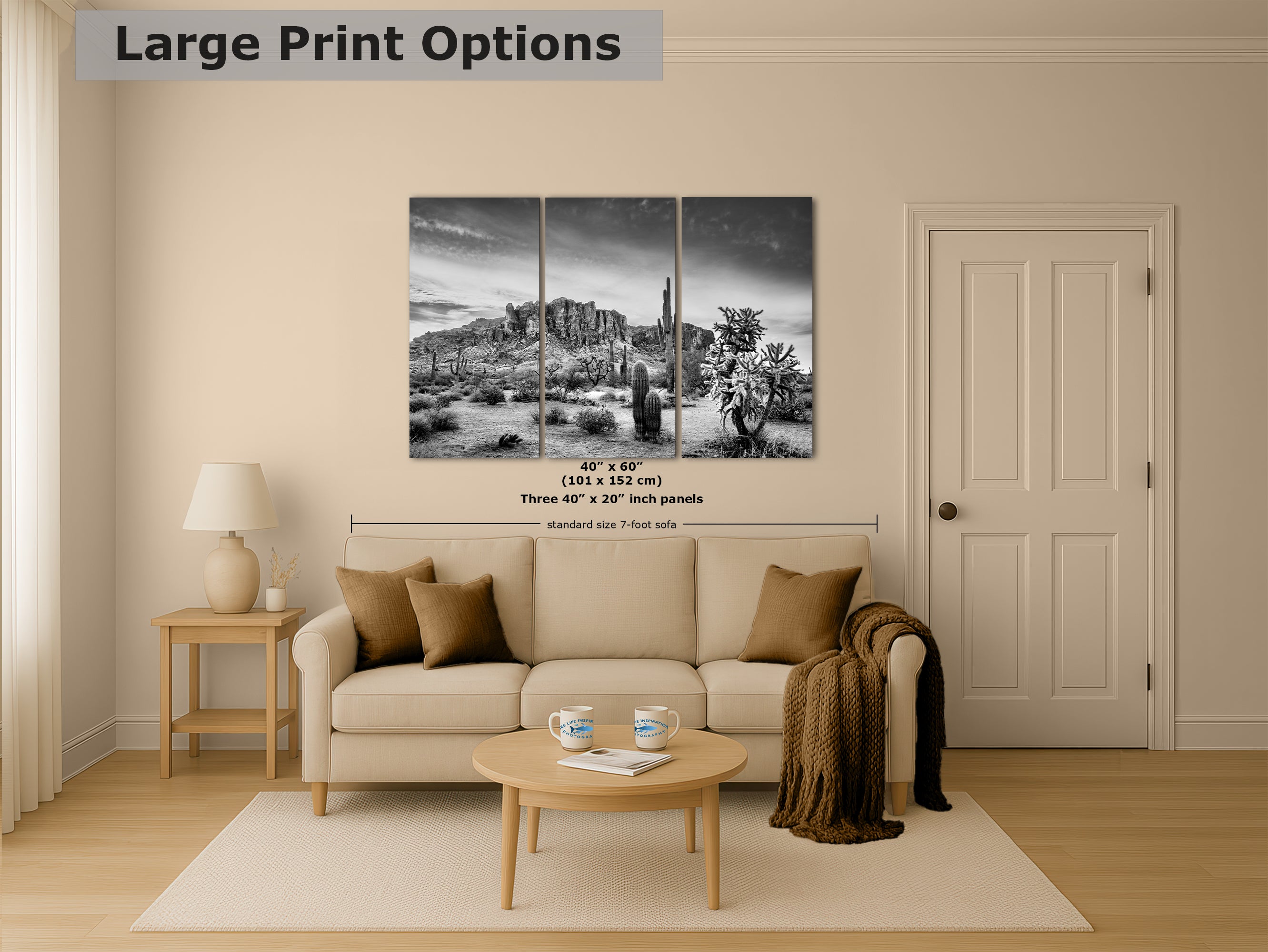 Arizona Desert Picture in Black and White, Saguaro Cactus Artwork Nature Photo, Southwestern Wall Art of Superstition Mountains at Lost Dutchman State Park