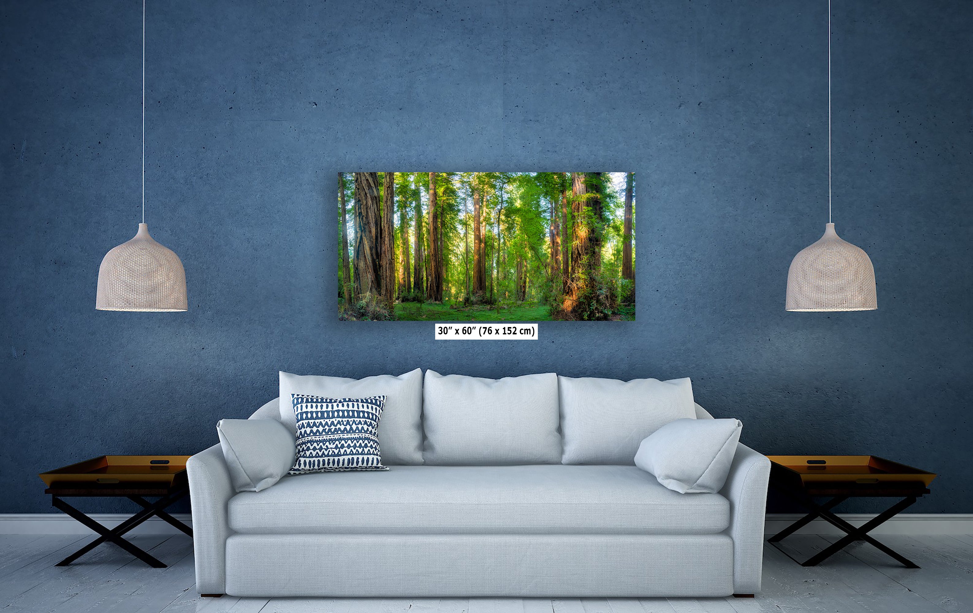 Redwood Trees Forest Picture Nature Photo, Forest Bathing Relaxation Artwork for Calming Meditation, Office and House Decor