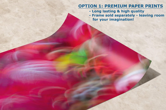 Fall Colors Forest Picture Impressionist Art, Nature Photo Relaxation Artwork, Forest Bathing Wall Decor for Bohemian Style House Decor