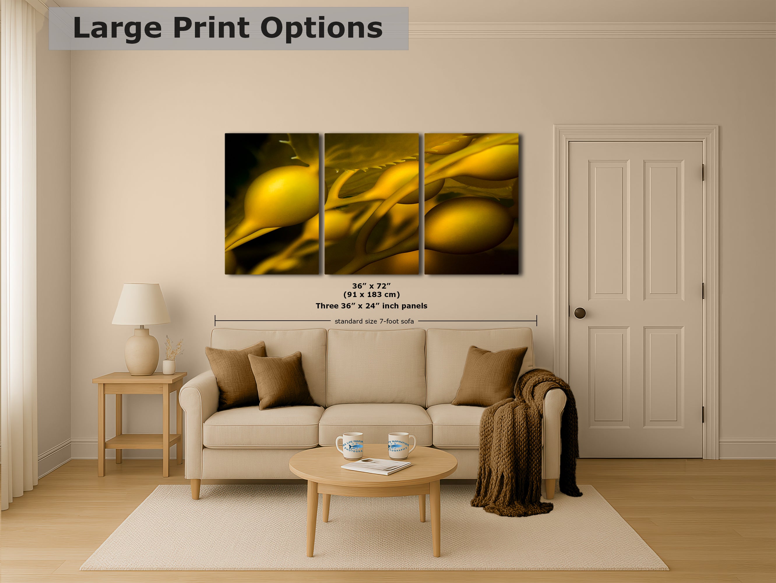 Kelp Forest Seaweed Pictures Underwater Scenery, Ocean Life Marine Biology Nature Photo Relaxation Artwork Decor for Office Dorm Room Decor
