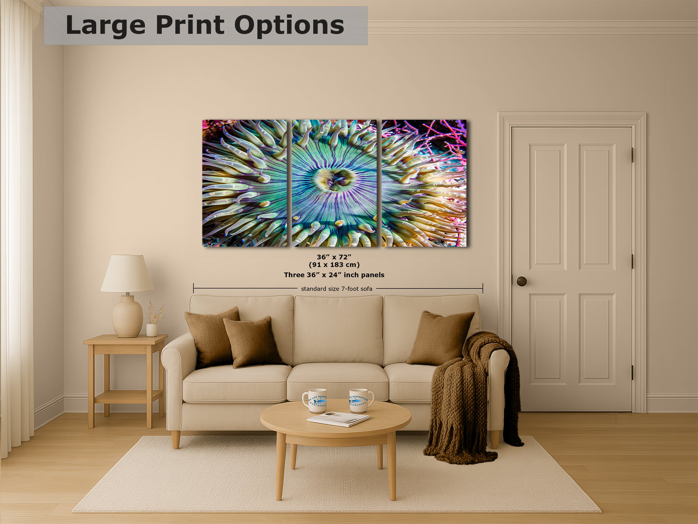 Sea Anemone Picture Ocean Life Underwater Scenery Nature Photo, Marine Biology Coral Reef Art