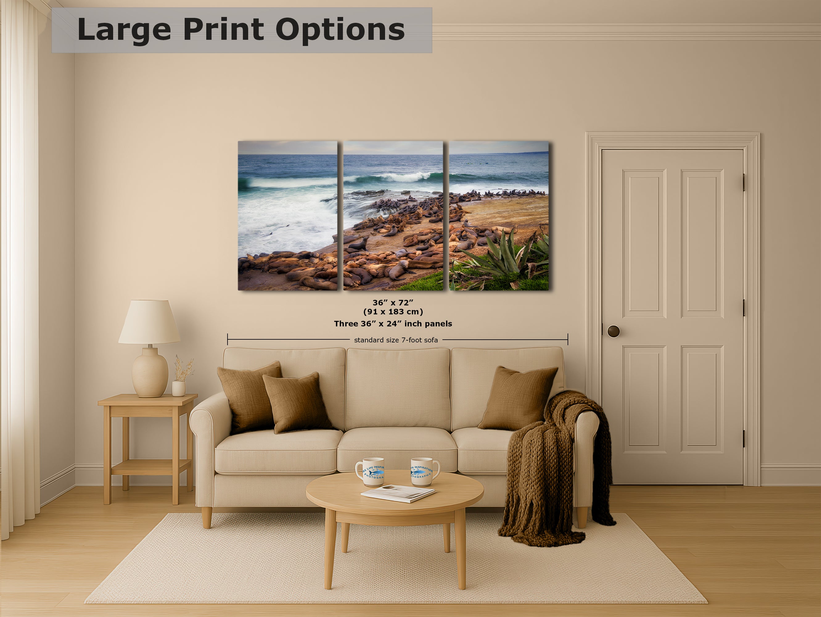 California Sea Lion Marine Mammal Wildlife Photography | Calming Nature Ocean Picture, Relaxation Artwork, La Jolla Coast, Nature Photo