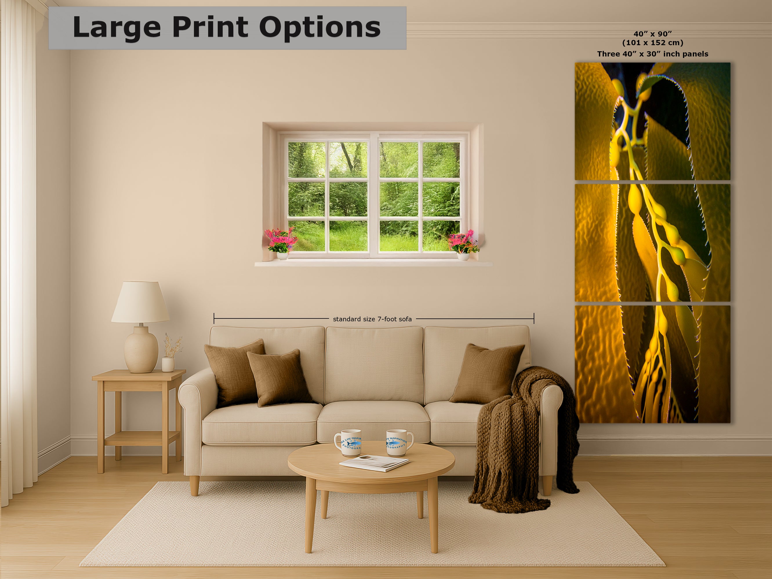 Kelp Forest Seaweed Pictures Underwater Scenery, Ocean Life Marine Life Decor, Nature Photo, Under the Sea Wall Art, Marine Biology Gift