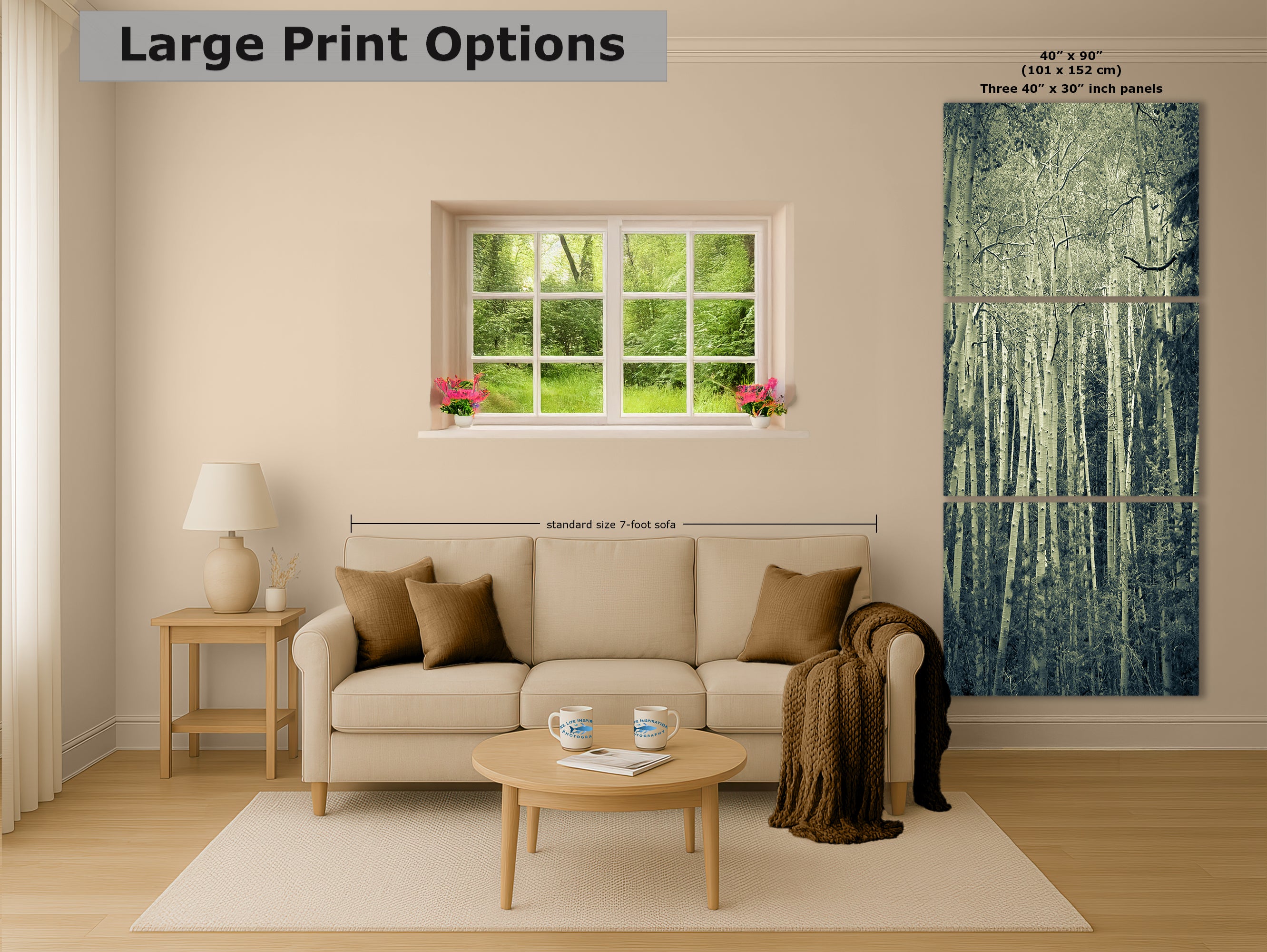Aspen Tree Forest Picture Nature Photo, Forest Bathing Relaxation Artwork, Rustic Wall Art for Bedroom, Office, & House Decor