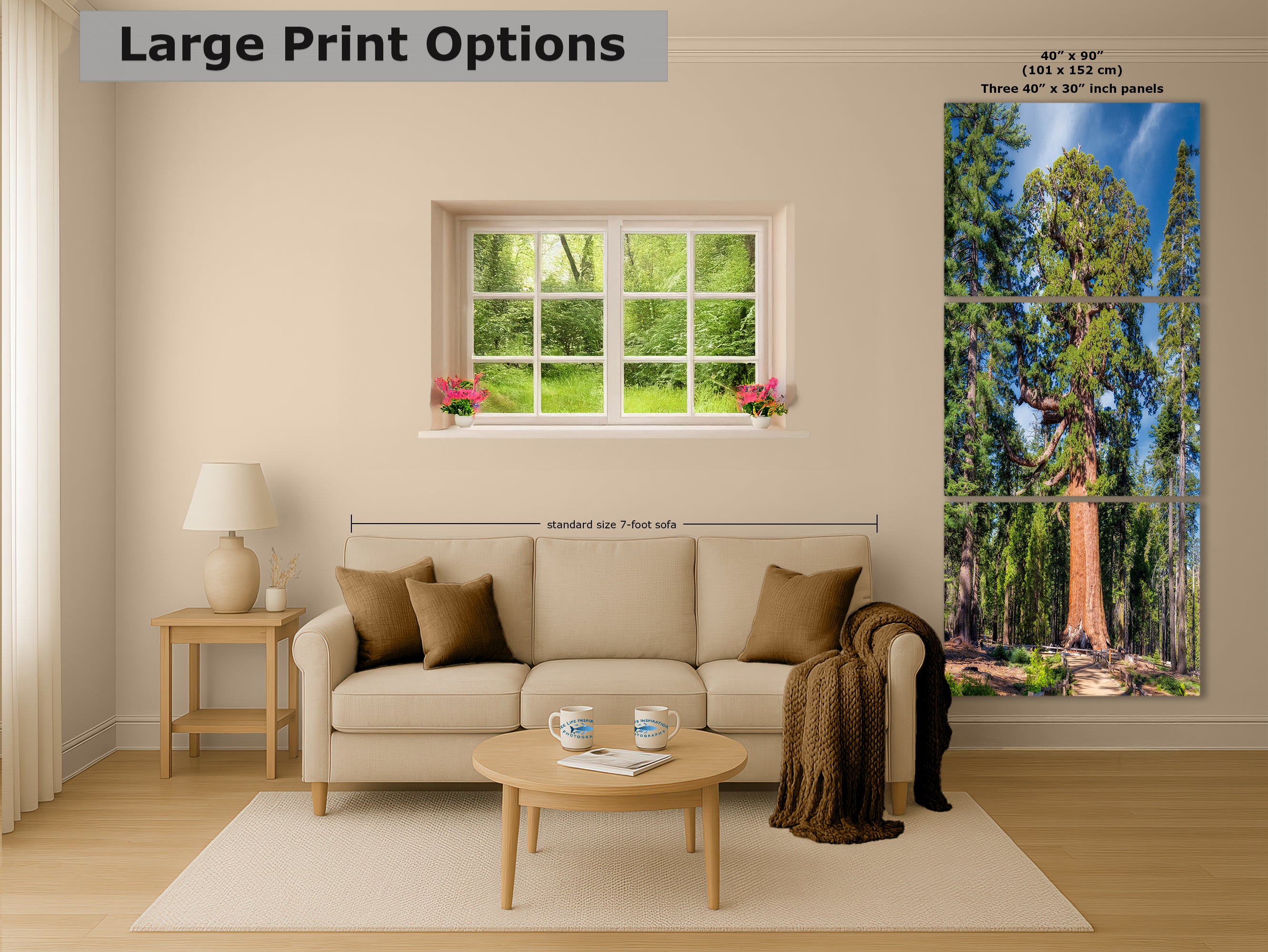 Giant Sequoia Tree Forest Picture Nature Photo, Yosemite Redwood Trees, Forest Bathing for Nature Lovers, House and Office