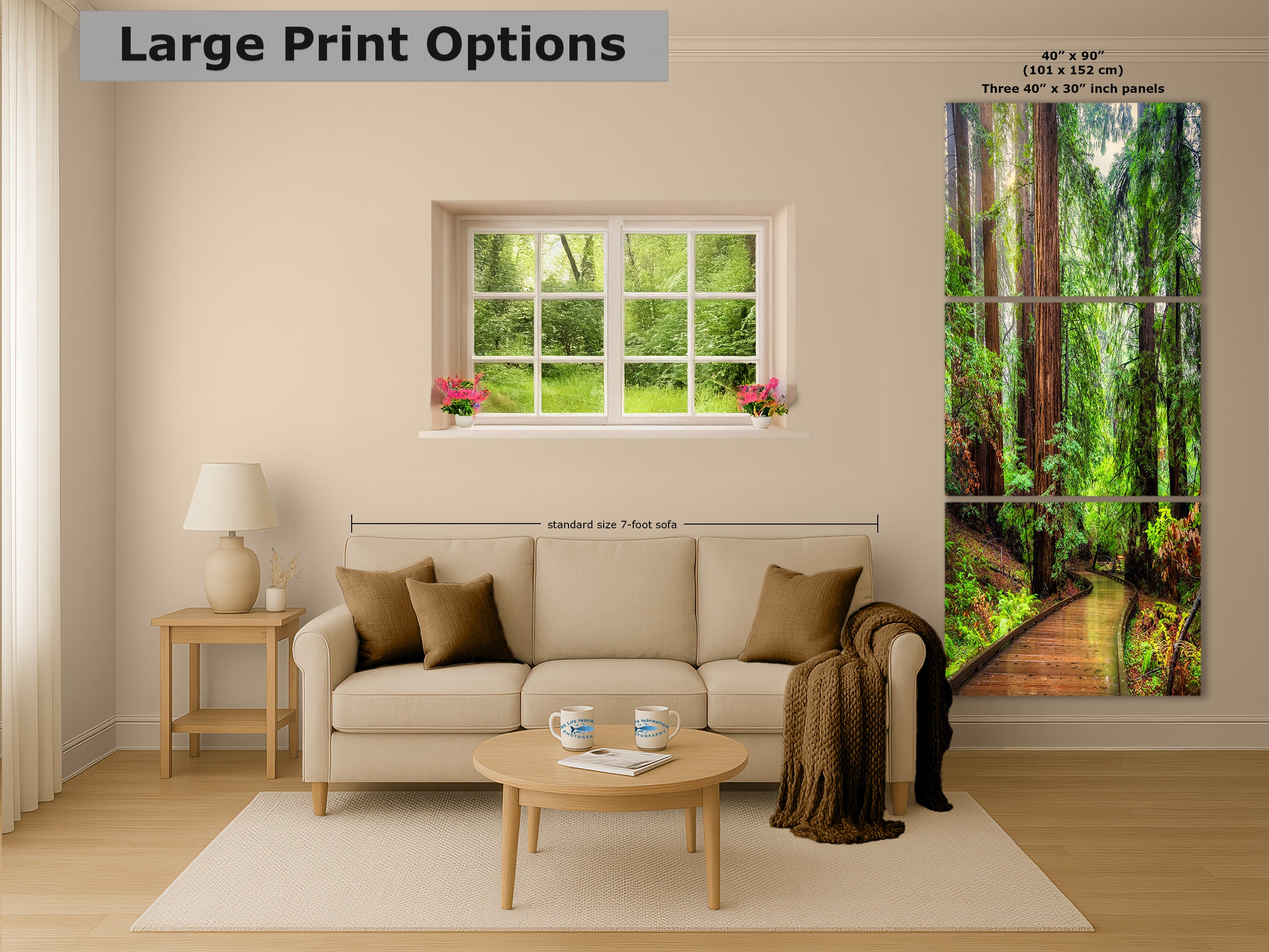 Redwood Trees Forest Picture Sunrise Nature Photo, Forest Bathing House Decor, Relaxing Wall Art for Meditation, Home and Office