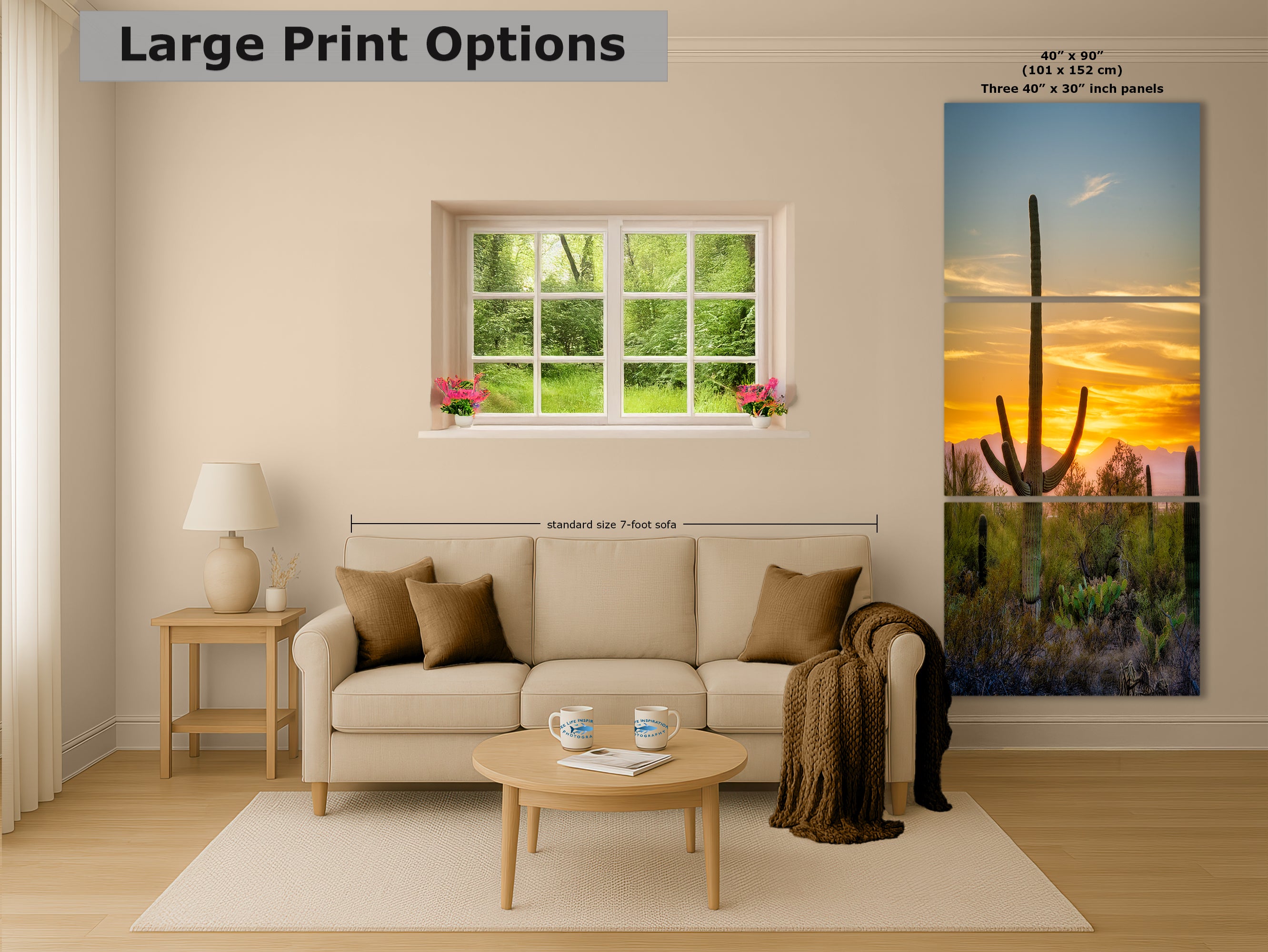 Saguaro National Park Arizona Desert Picture Nature Photo, Bohemian Style Relaxation Artwork, Southwestern Sonoran Desert House Decor