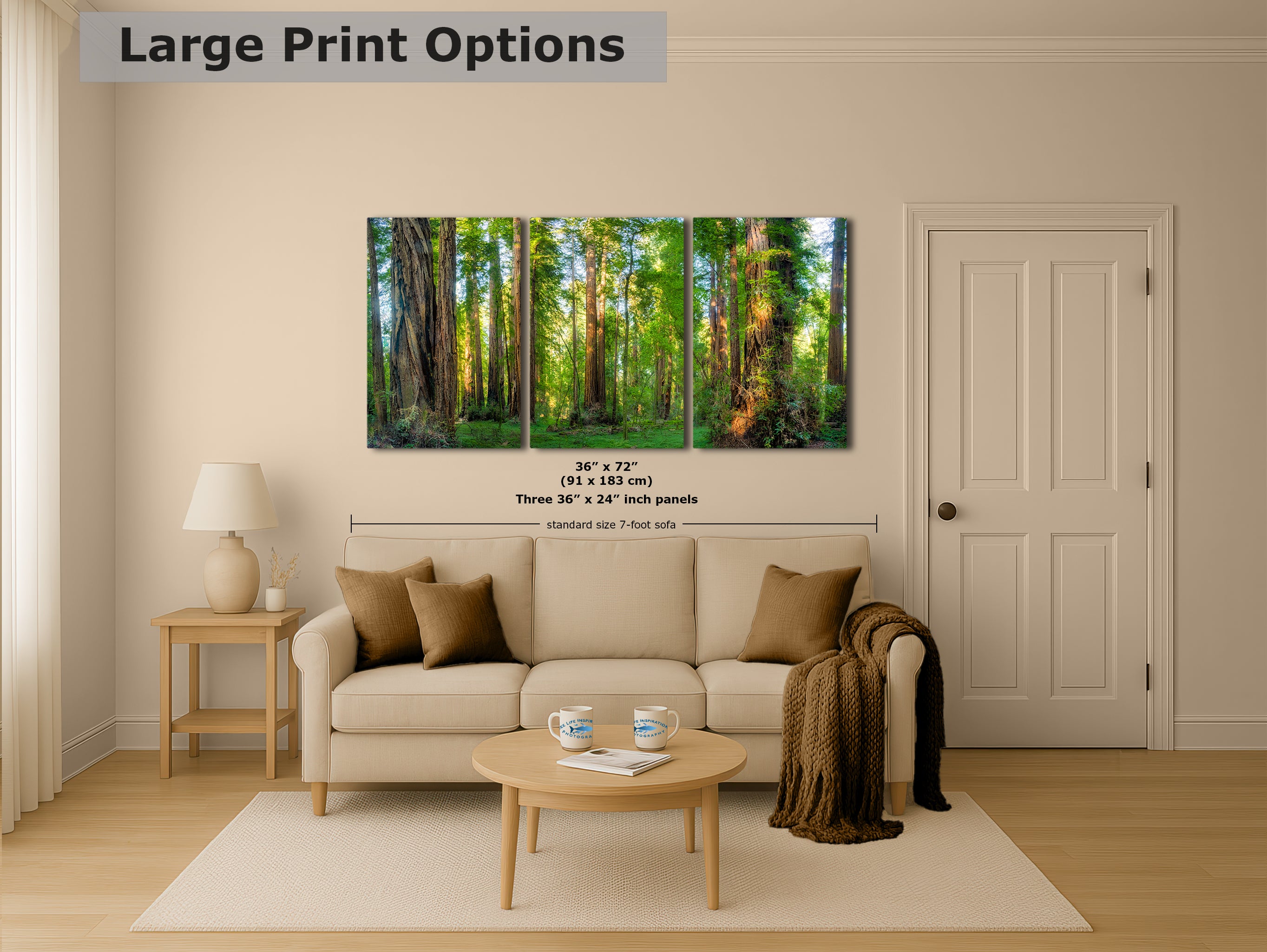 Redwood Trees Forest Picture Nature Photo, Forest Bathing Relaxation Artwork for Calming Meditation, Office and House Decor