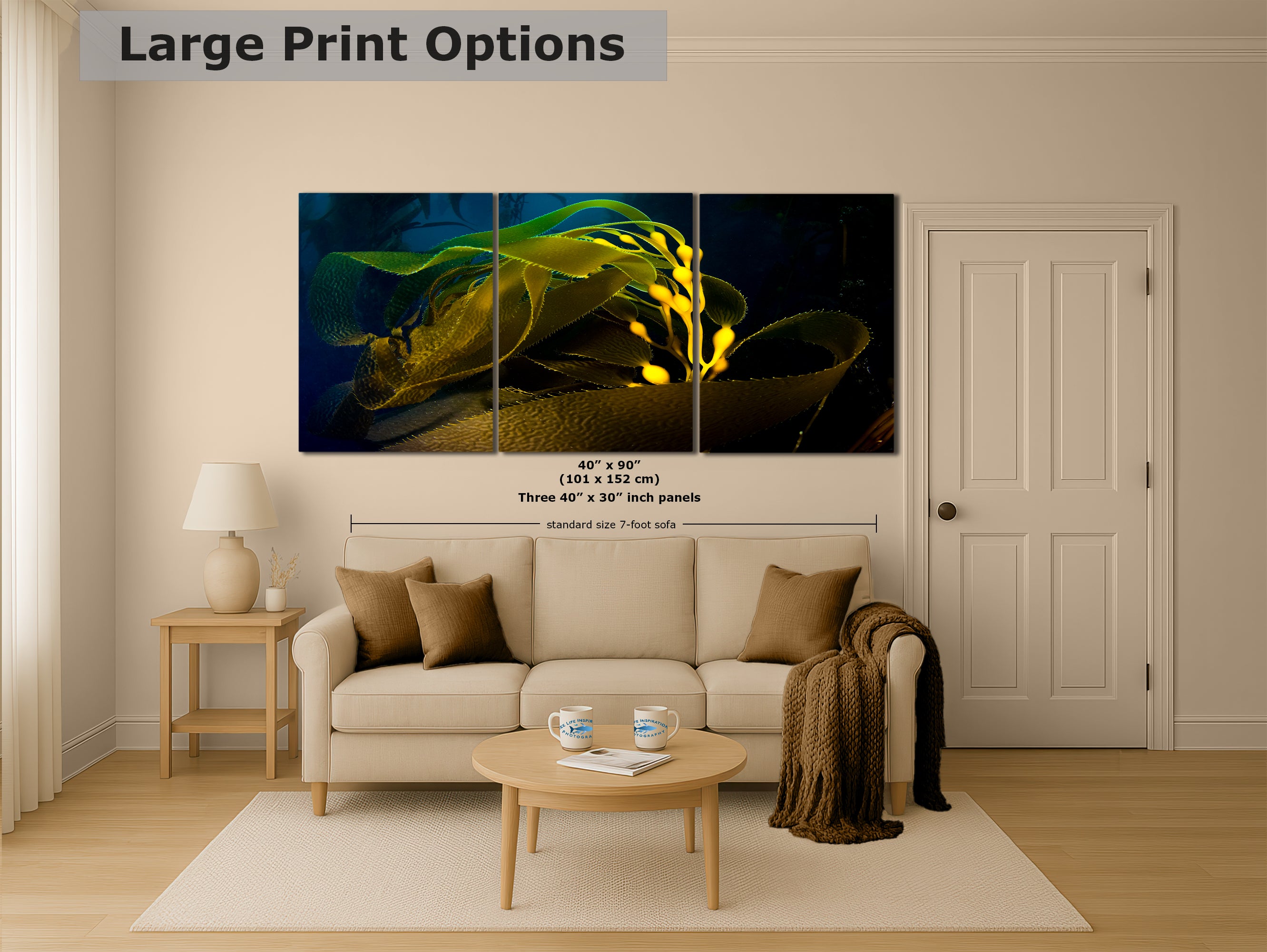 Kelp forest seaweed pictures underwater scenery, ocean life marine biology art, relaxation decor, ocean lover gift, deep sea nature photo