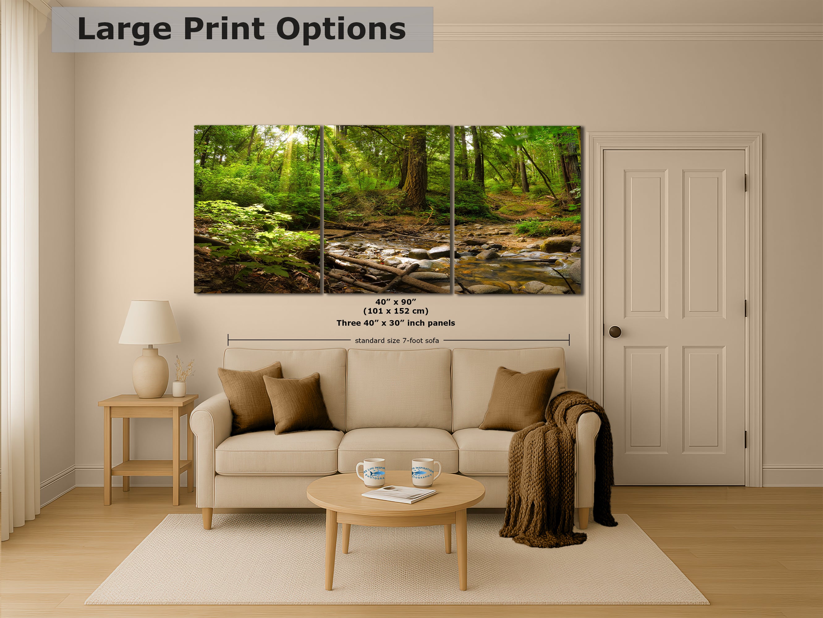Redwood Trees Forest Picture Nature Photo, Forest Bathing in Santa Cruz California Coast Wall Art, Relaxing Artwork for House Decor & Office