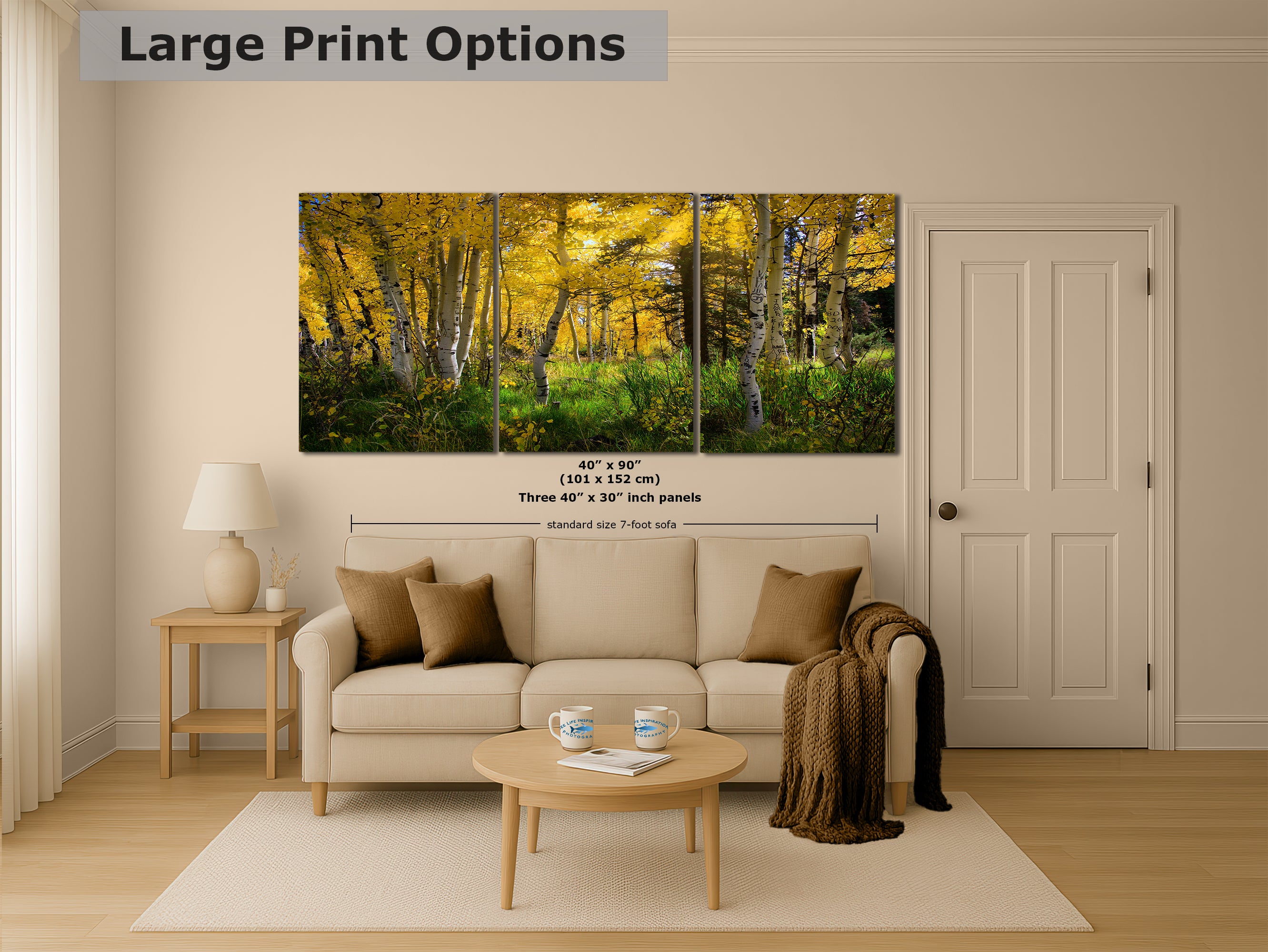 Aspen Tree Forest Picture Nature Photo, Forest Bathing Relaxation Artwork, Fall Colors Autumn for Meditation, Office and House Decor