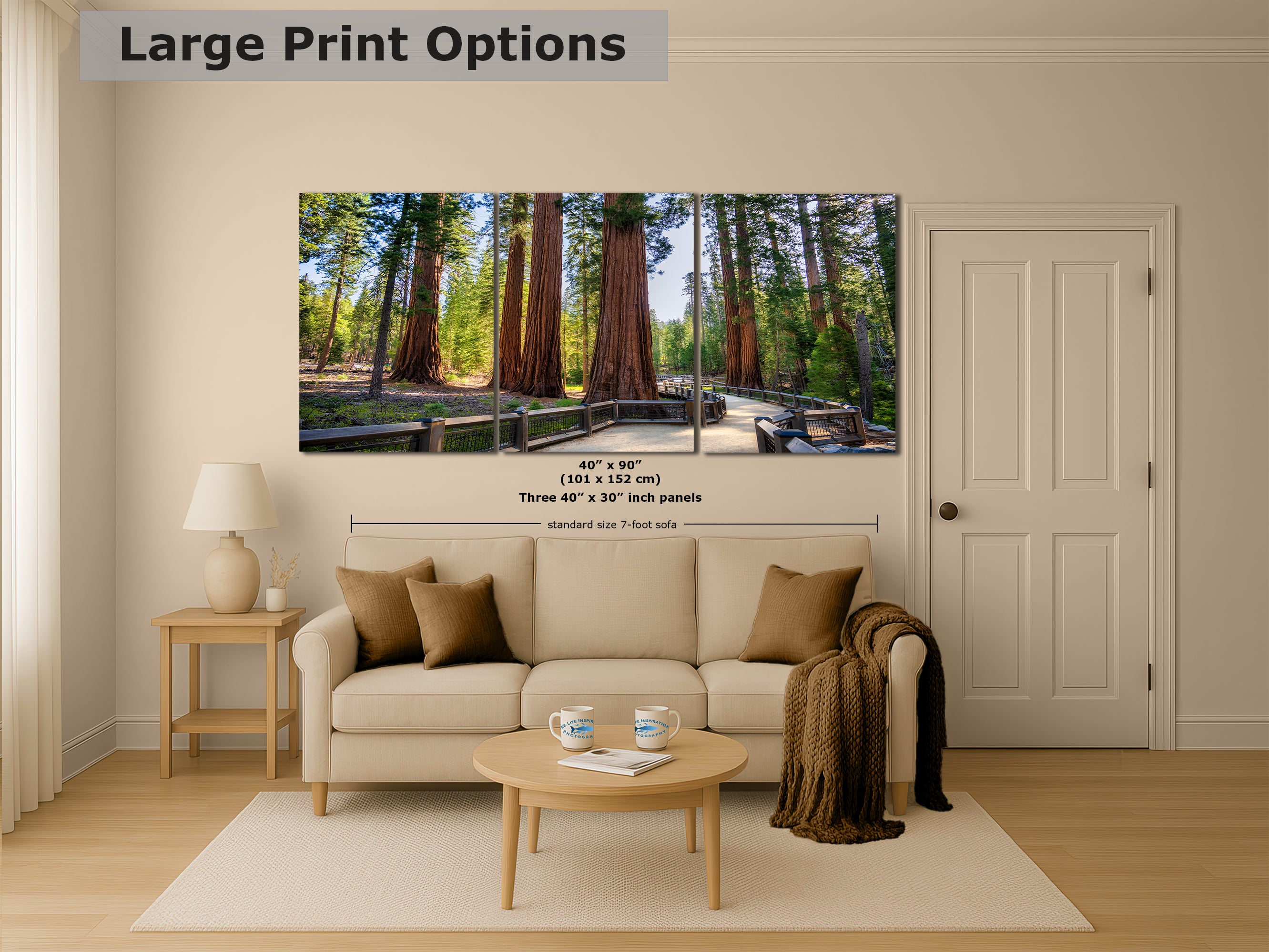 Giant Sequoia Tree Forest Picture Nature Photo | Yosemite Redwood Trees for Nature Lovers & Forest Bathing Relaxation, Meditation Artwork