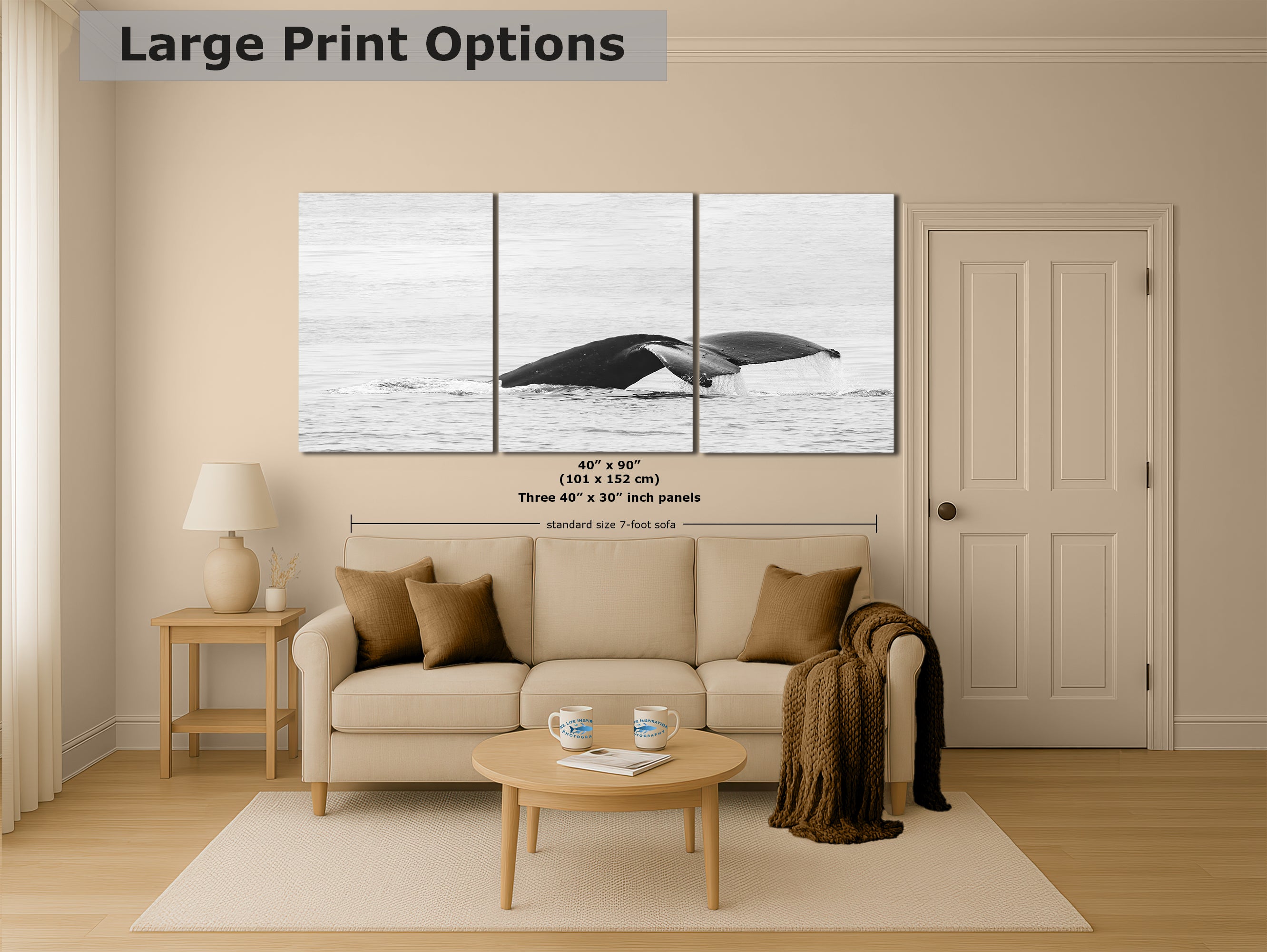 Humpback Whale Marine Mammal Wildlife Photography, Black and White, Monterey Bay Ocean Scene Art Print for Nature Lovers and Marine Conservation Decor