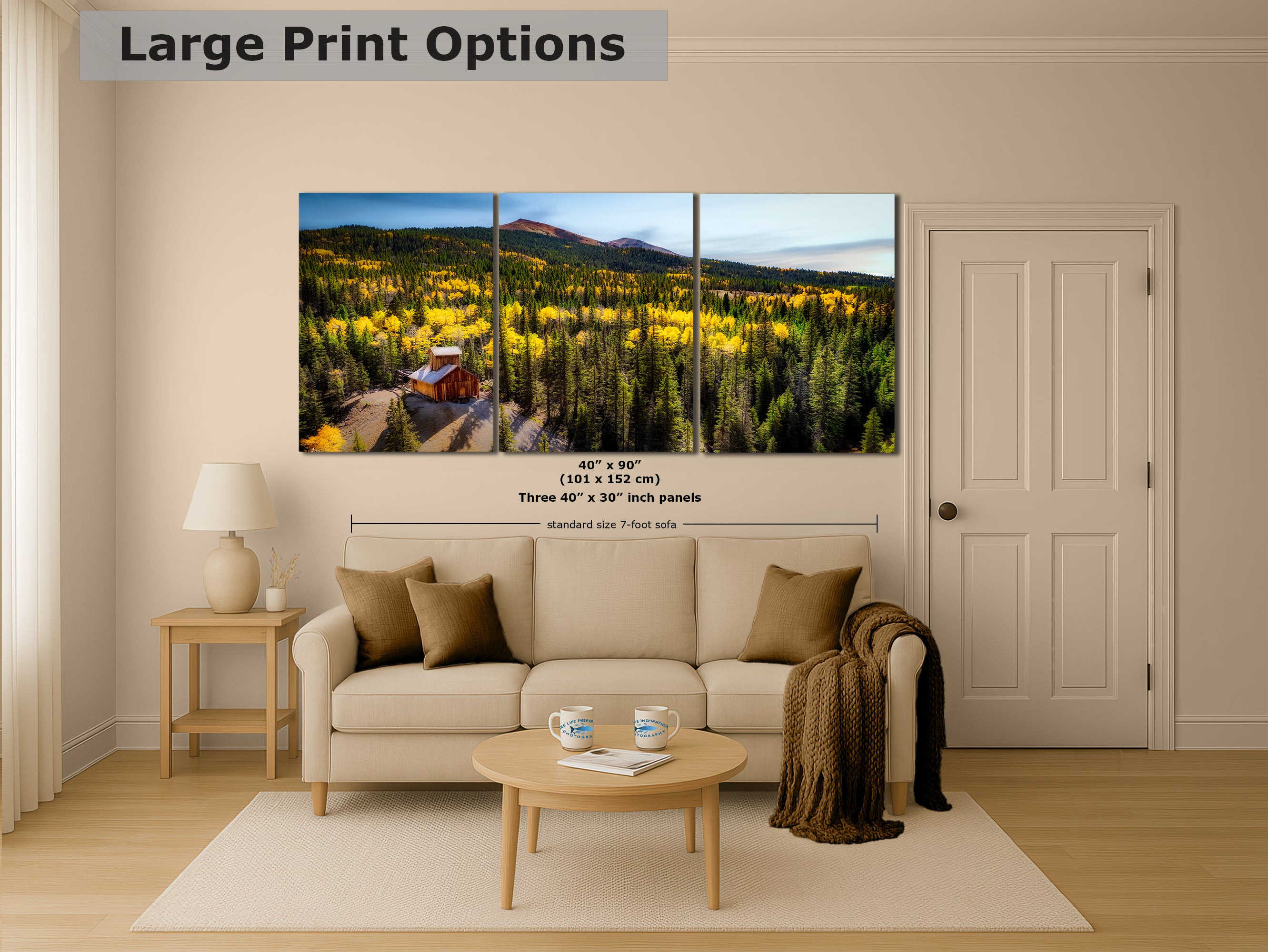 Colorado Boy Mine, San Juan Mountain Picture, Fall Colors Aspen Trees Forest Picture Nature Photo for Relaxation Artwork, Meditation and House Decor