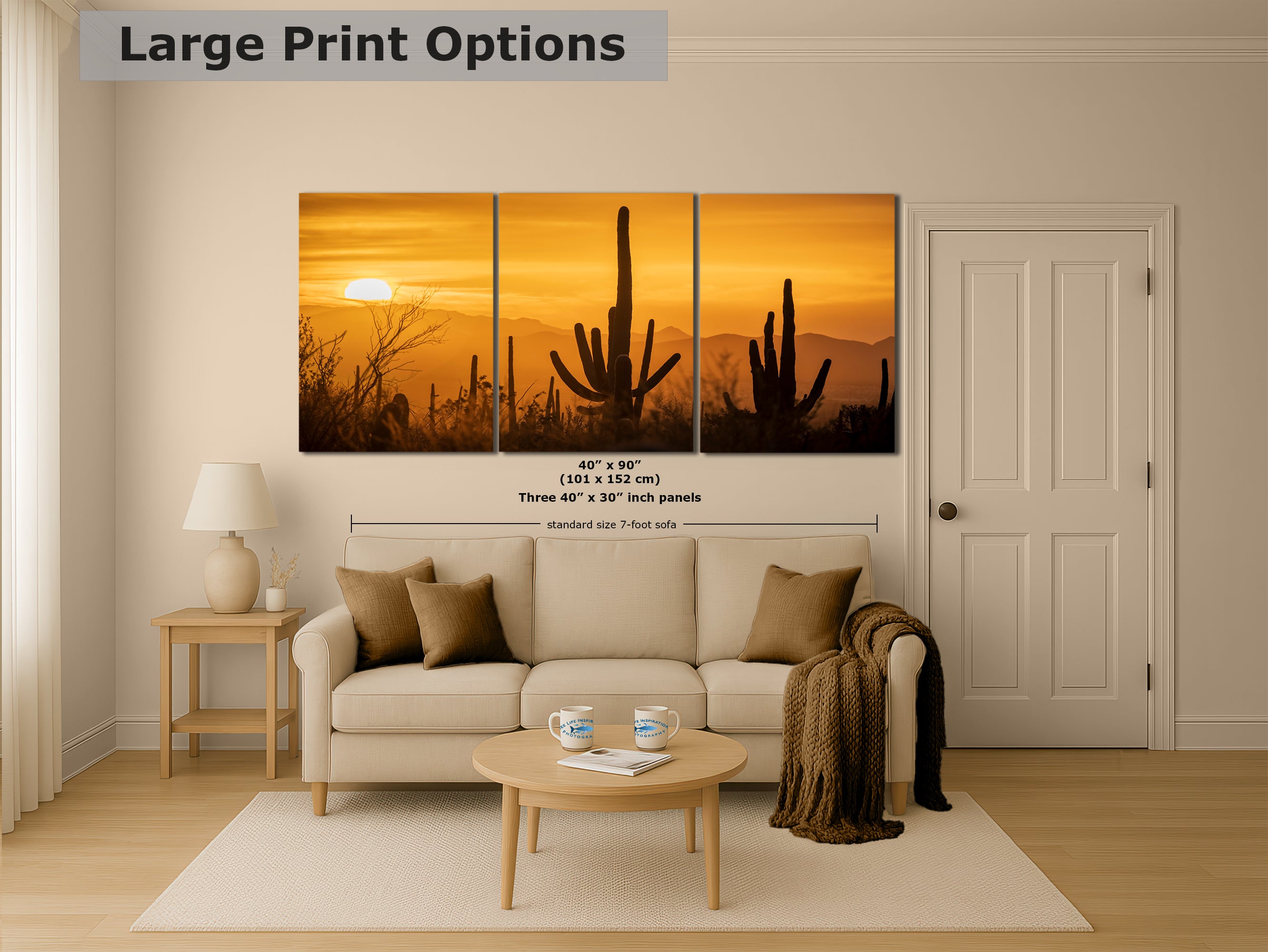 Saguaro National Park Arizona Desert Picture Nature Photo Silhouette, Bohemian Style Relaxation Artwork, Southwestern Sonoran Desert House Decor