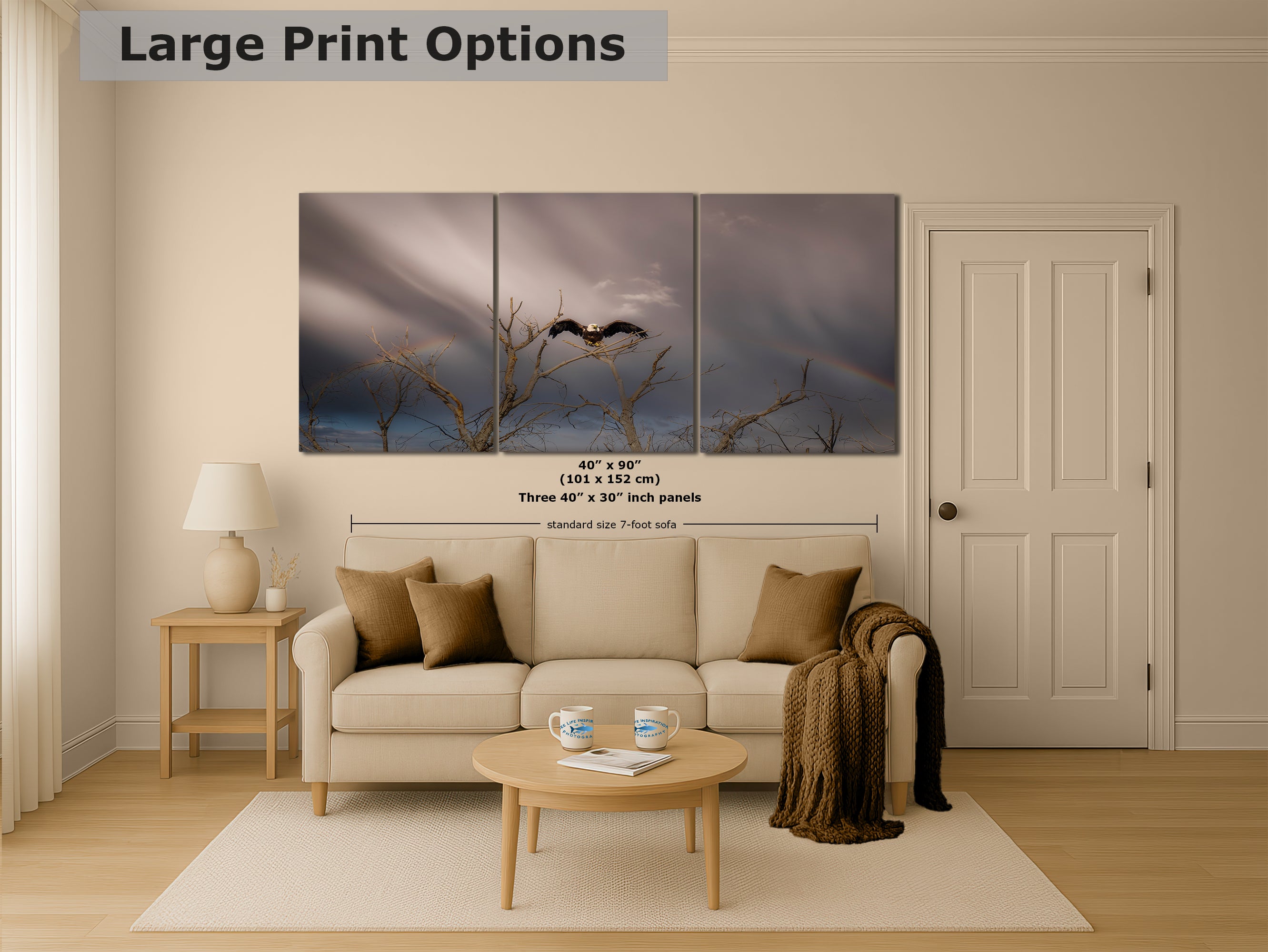 Bald Eagle Picture Wildlife Photography Wall Art, Nature Photo, Bird Photography, Rustic Cabin Decor, Office or Dorm Room Wall Decor