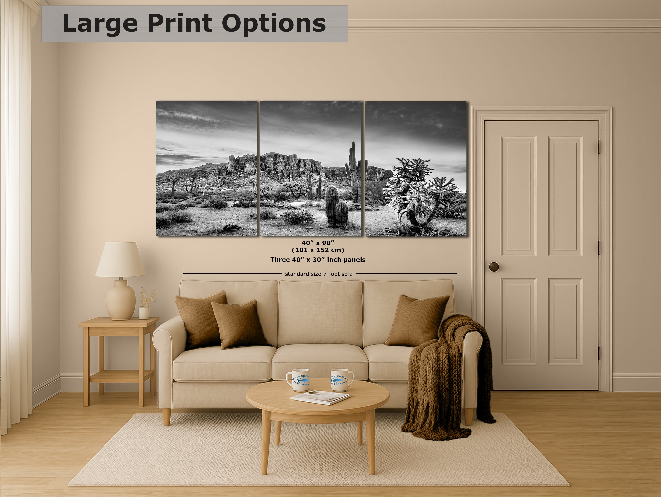 Arizona Desert Picture in Black and White, Saguaro Cactus Artwork Nature Photo, Southwestern Wall Art of Superstition Mountains at Lost Dutchman State Park