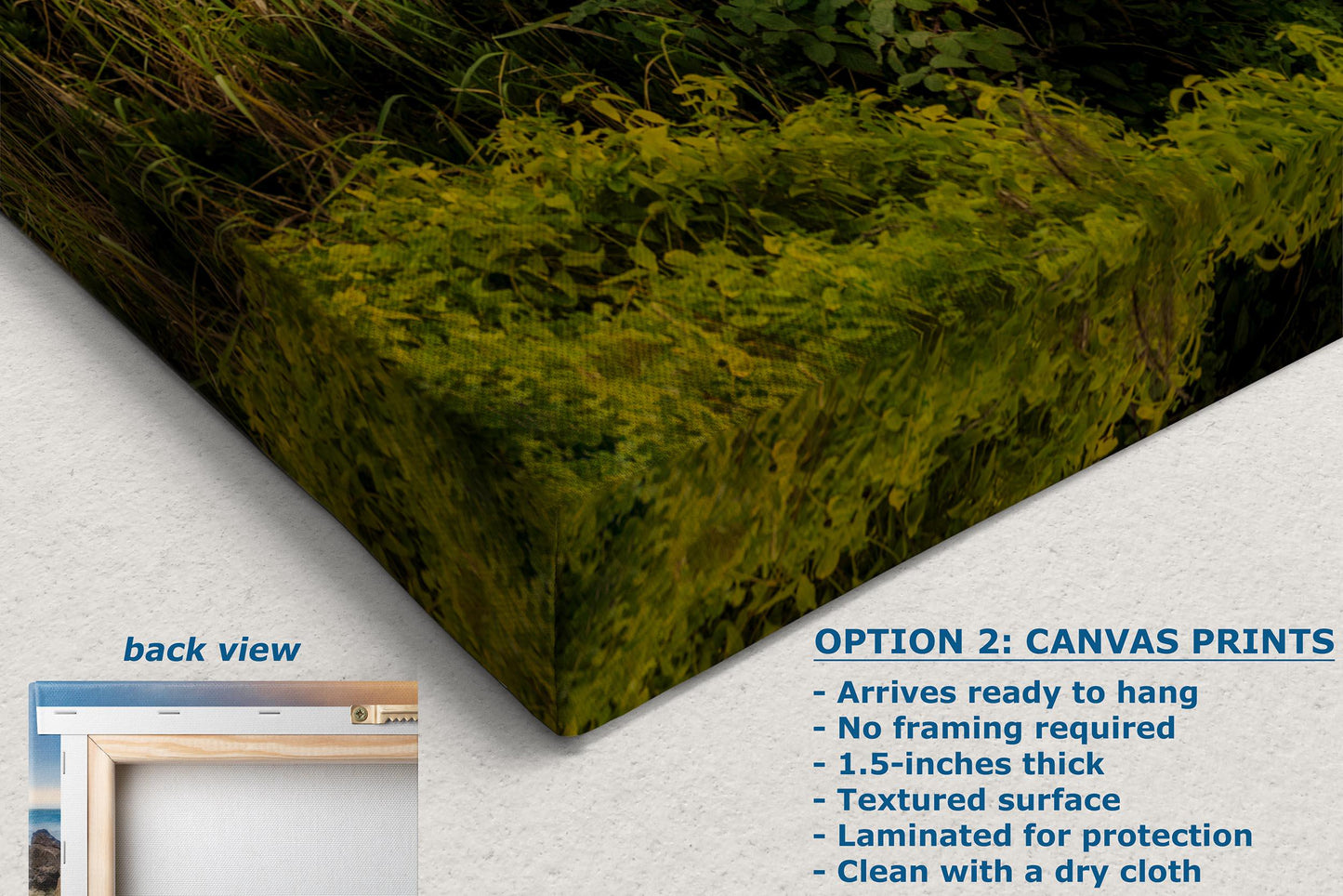Oregon Scenic Landscape Canvas: Pacific Northwest Nature Wall Art for Home, Office & Living Room Decor