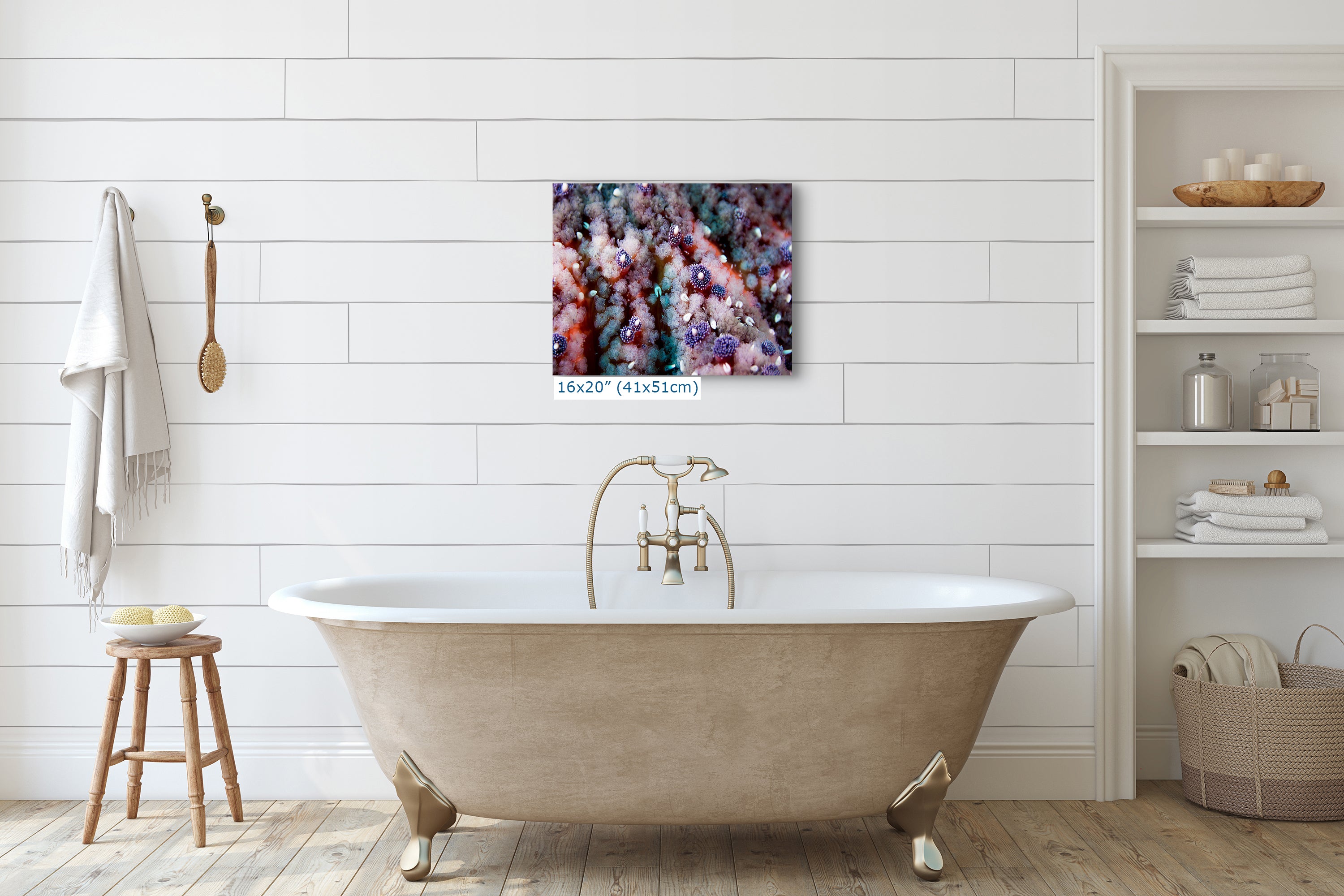 Ocean Life Starfish Photo, Marine Biology Underwater Scenery, Vibrant Coral Reef, Nature Photography for Office Decor, Relaxation Artwork