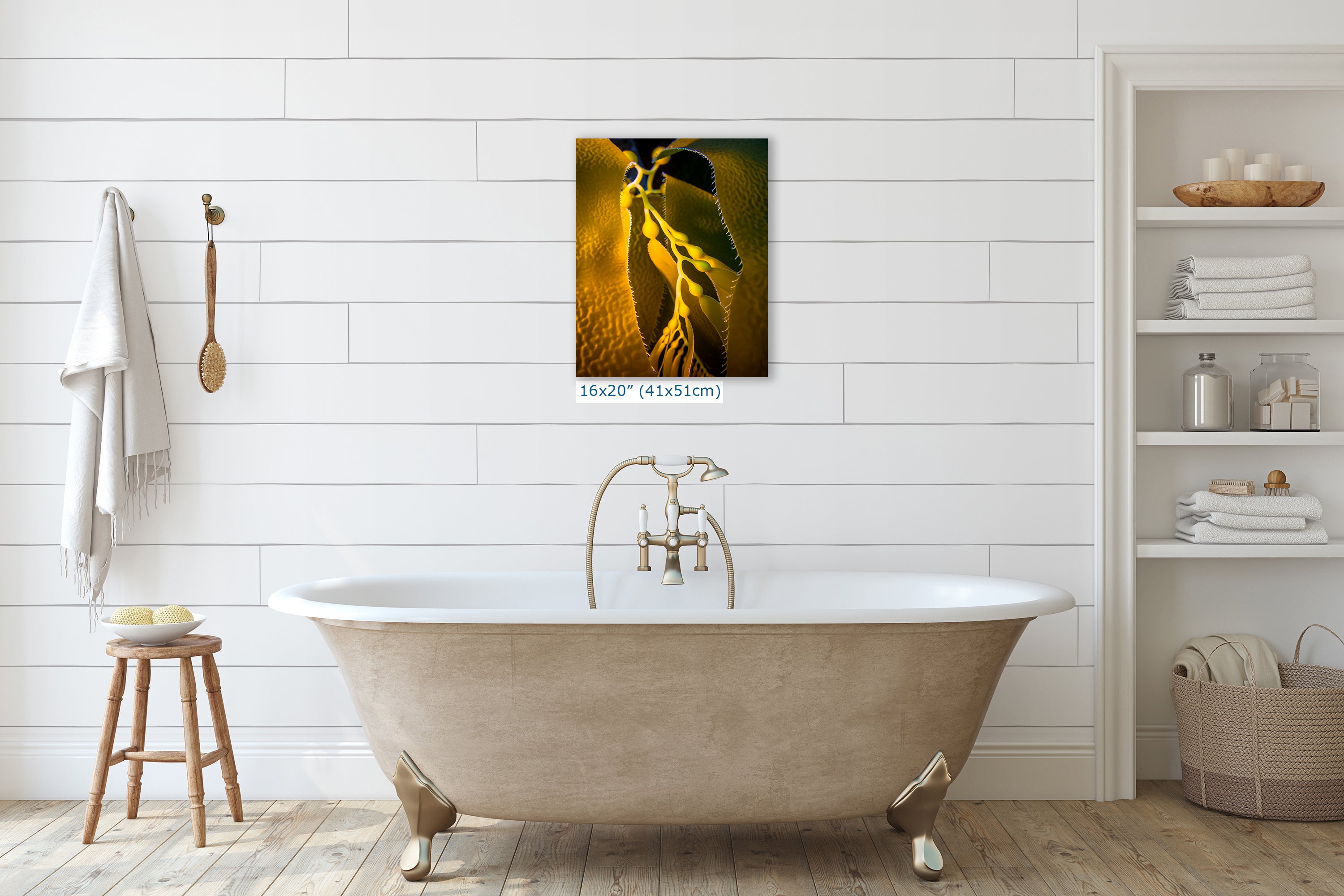 Kelp Forest Seaweed Pictures Underwater Scenery, Ocean Life Marine Life Decor, Nature Photo, Under the Sea Wall Art, Marine Biology Gift