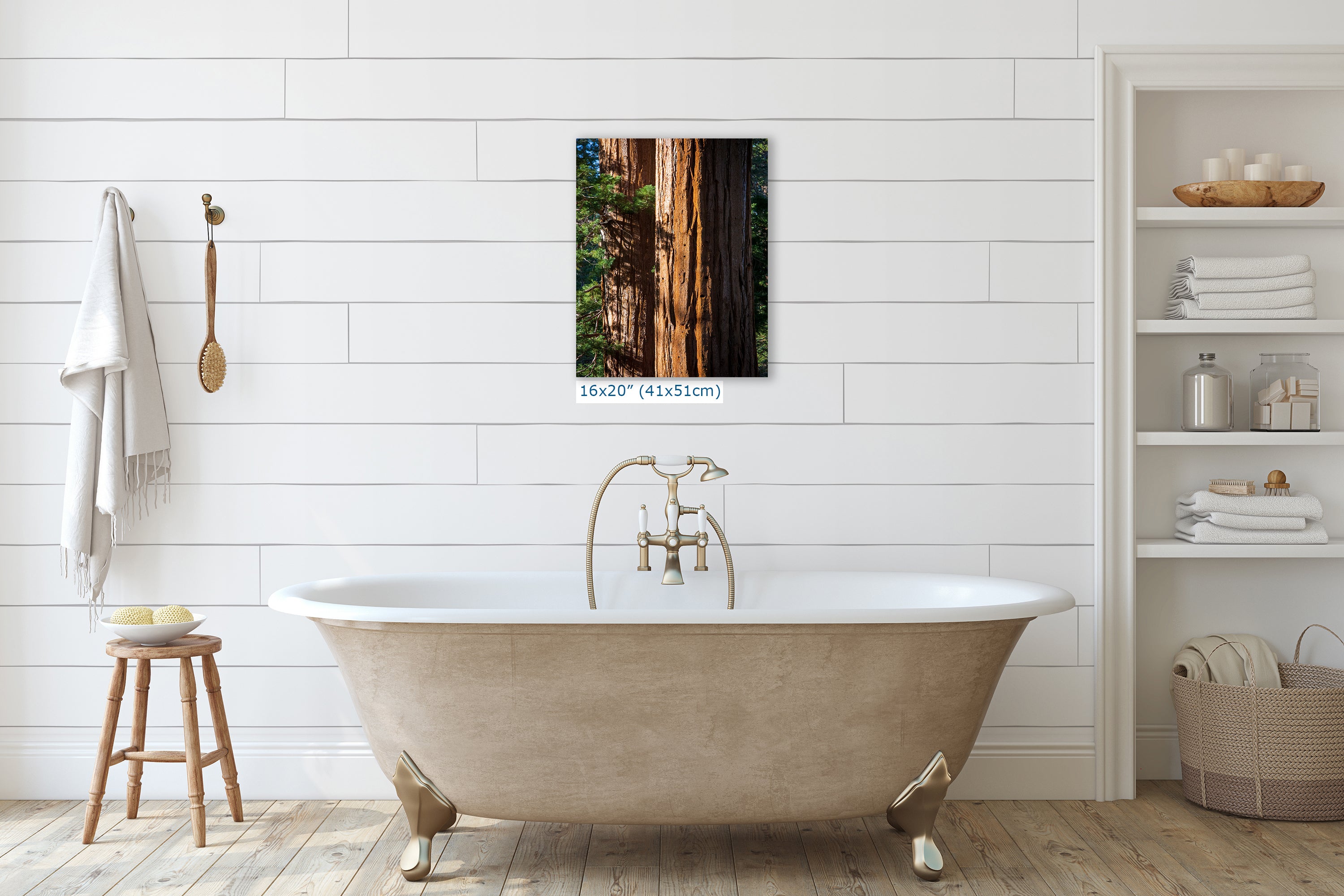 Giant Sequoia Tree Forest Picture Nature Photo, Redwood Trees Wall Art, Forest Bathing National Park Poster, Relaxation Decor