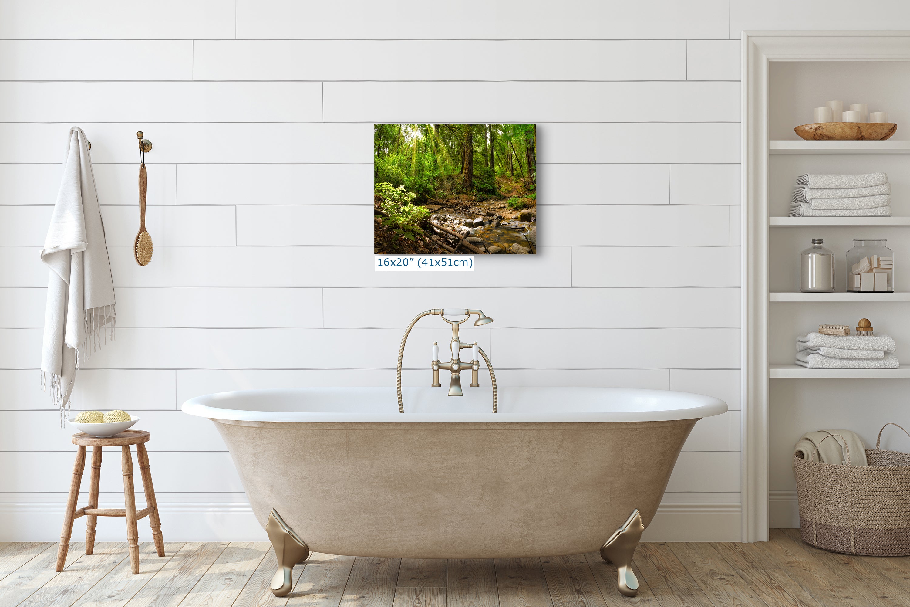 Redwood Trees Forest Picture Nature Photo, Forest Bathing in Santa Cruz California Coast Wall Art, Relaxing Artwork for House Decor & Office