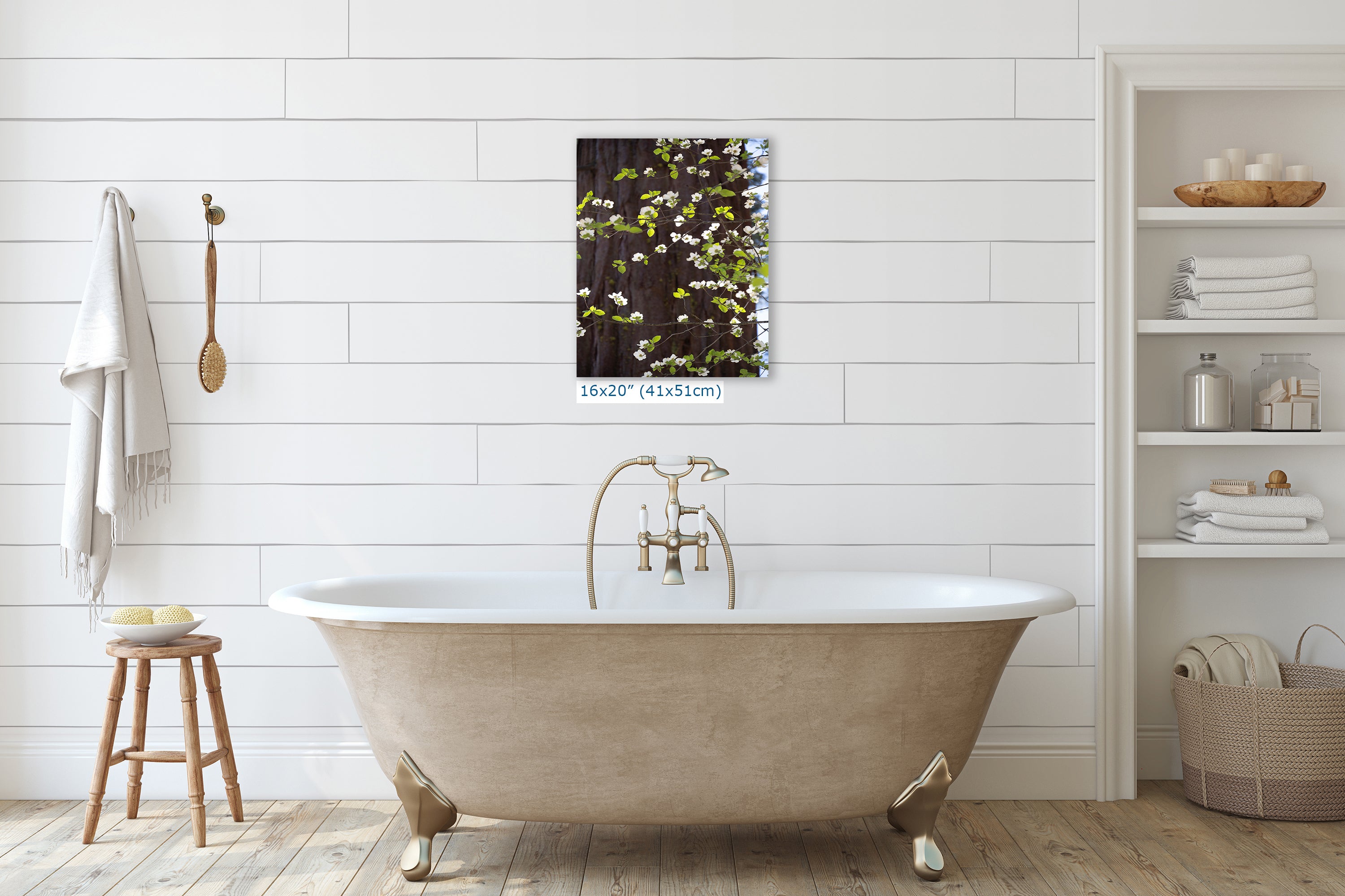 Pacific Dogwood Forest Picture Nature Photo | Yosemite Nature Canvas Print, Forest Bathing for Meditation, Relaxation, Dorm Room Decor