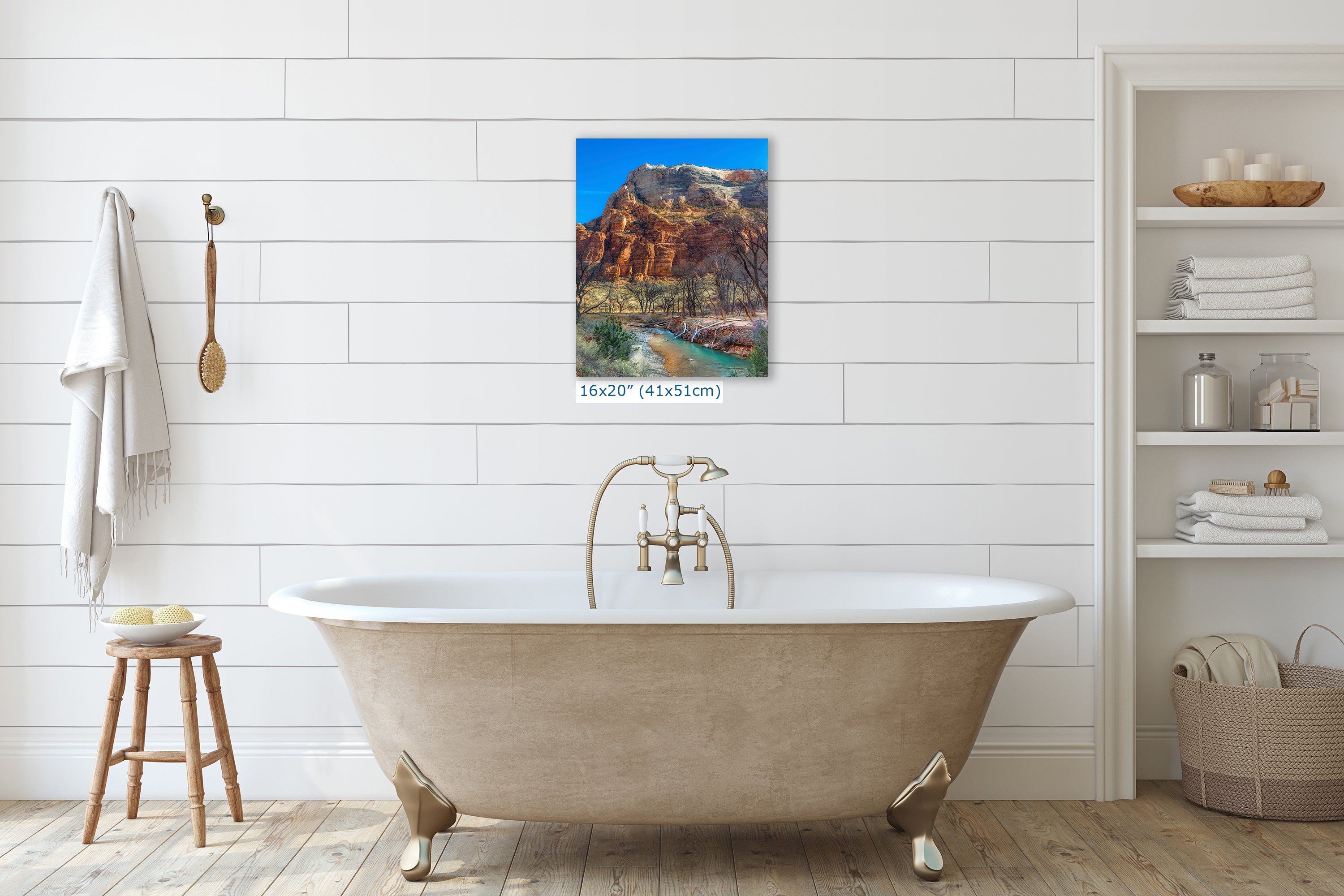 Zion National Park Southern Utah Desert Picture, Southwestern Wall Art, Relaxation Artwork Nature Photo for House Decor