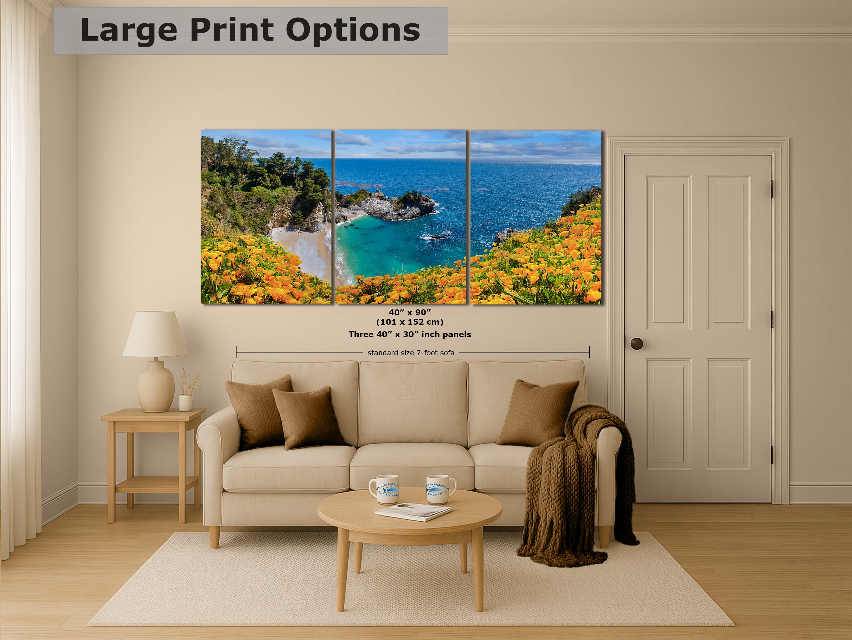 McWay Falls Wall Art Ocean Picture, Big Sur California Coastline Nature Photo