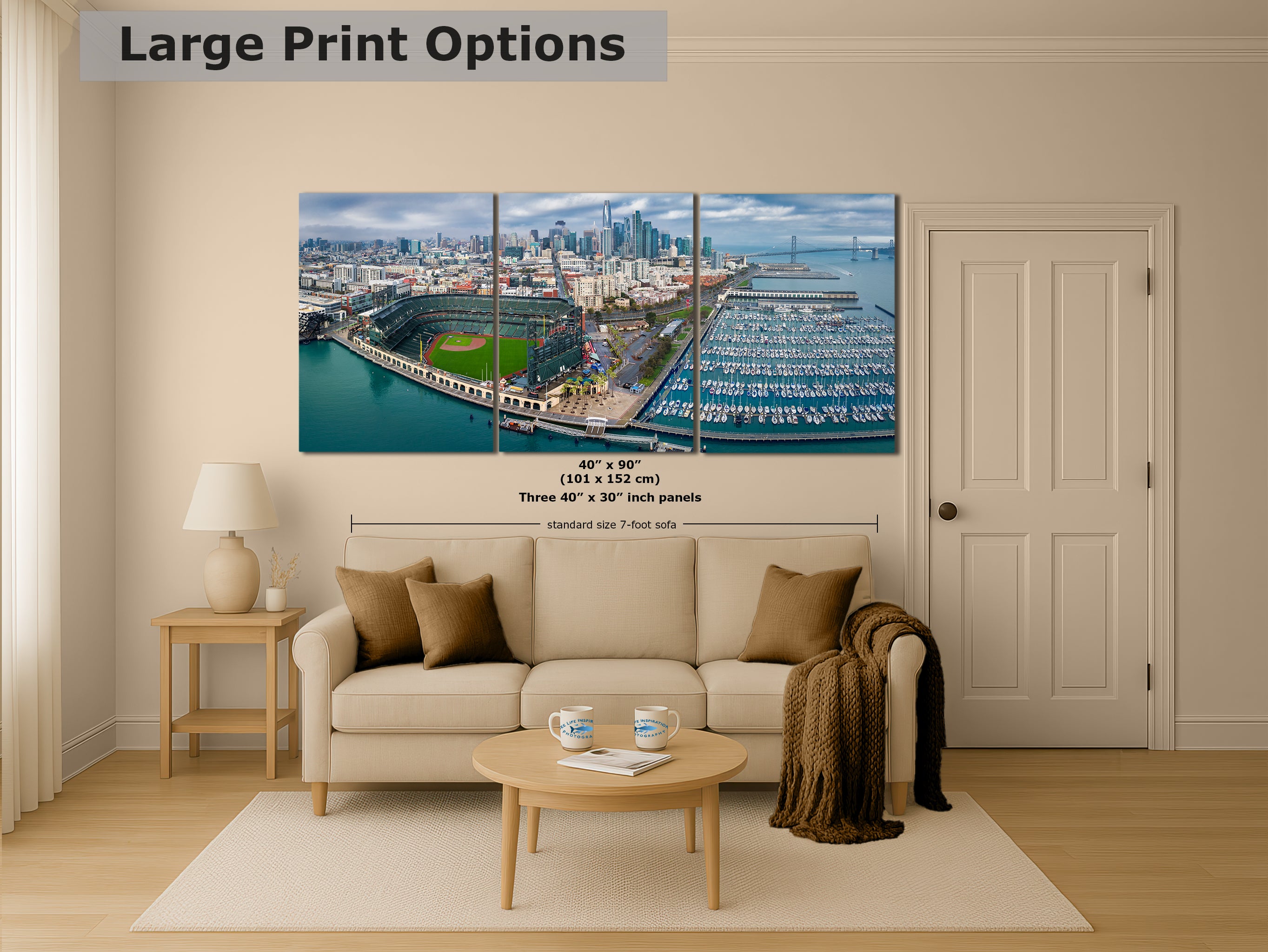 San Francisco Giants Baseball Stadium, Oracle Park Canvas Print