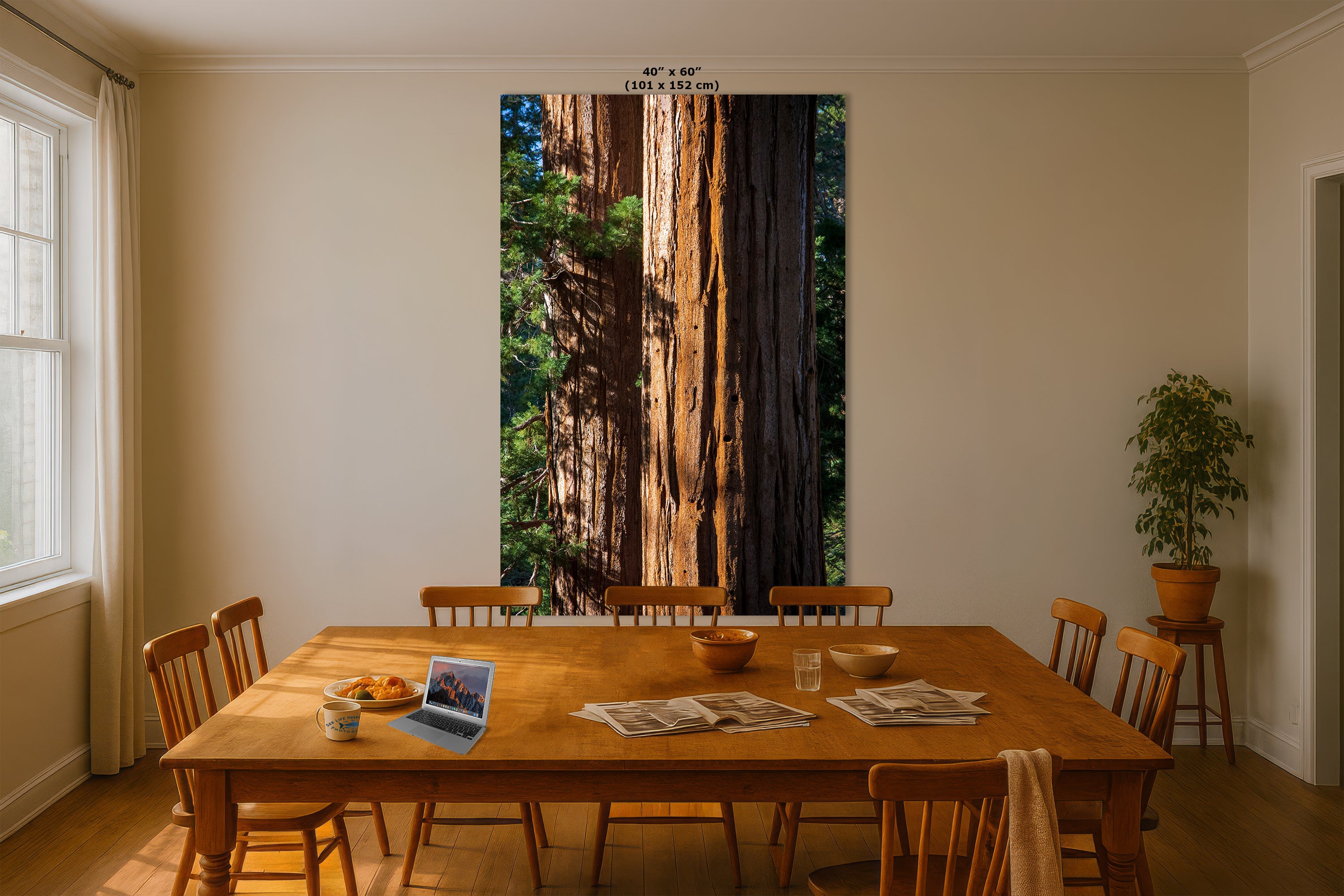 Giant Sequoia Tree Forest Picture Nature Photo, Redwood Trees Wall Art, Forest Bathing National Park Poster, Relaxation Decor