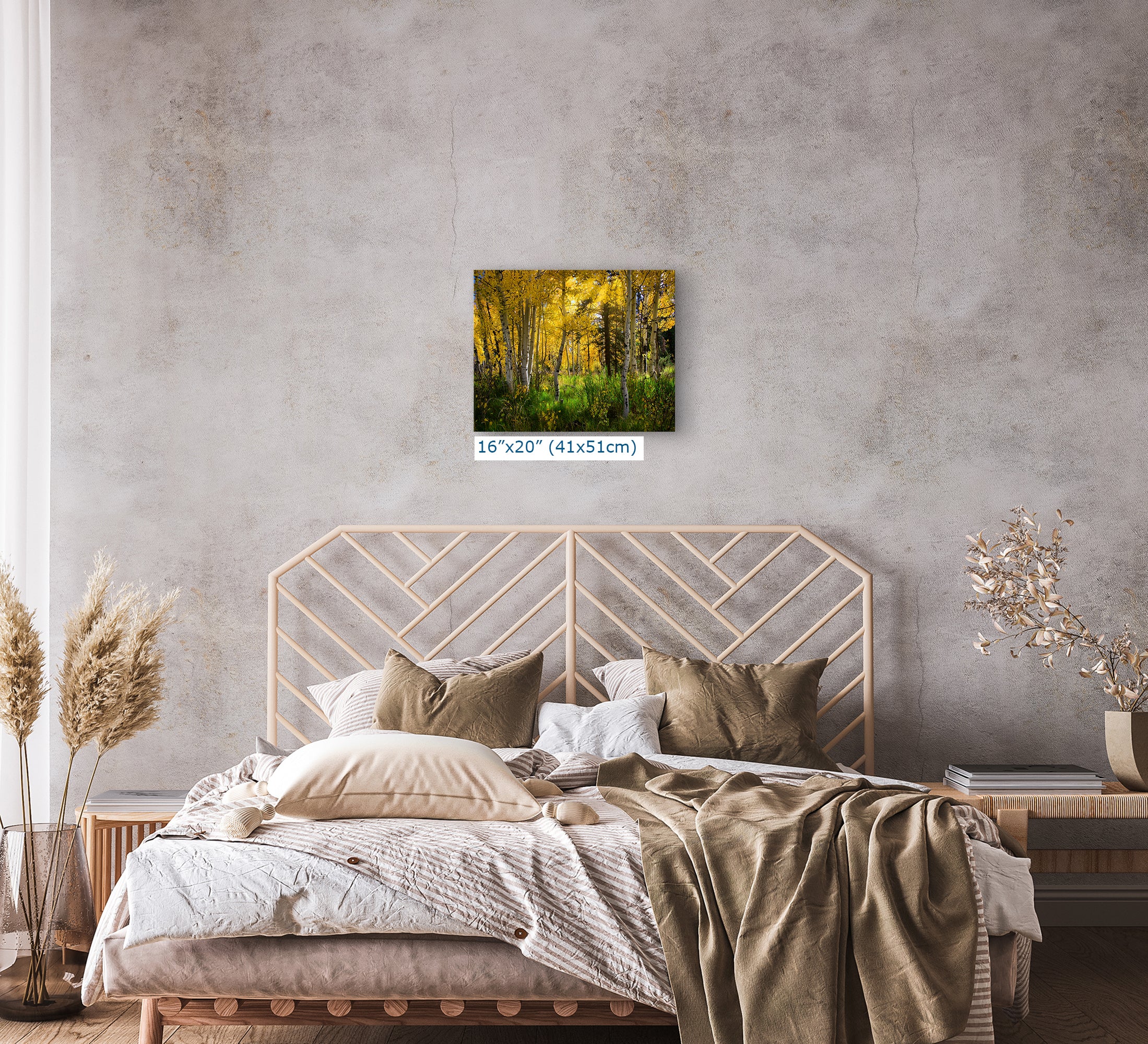 Aspen Tree Forest Picture Nature Photo, Forest Bathing Relaxation Artwork, Fall Colors Autumn for Meditation, Office and House Decor