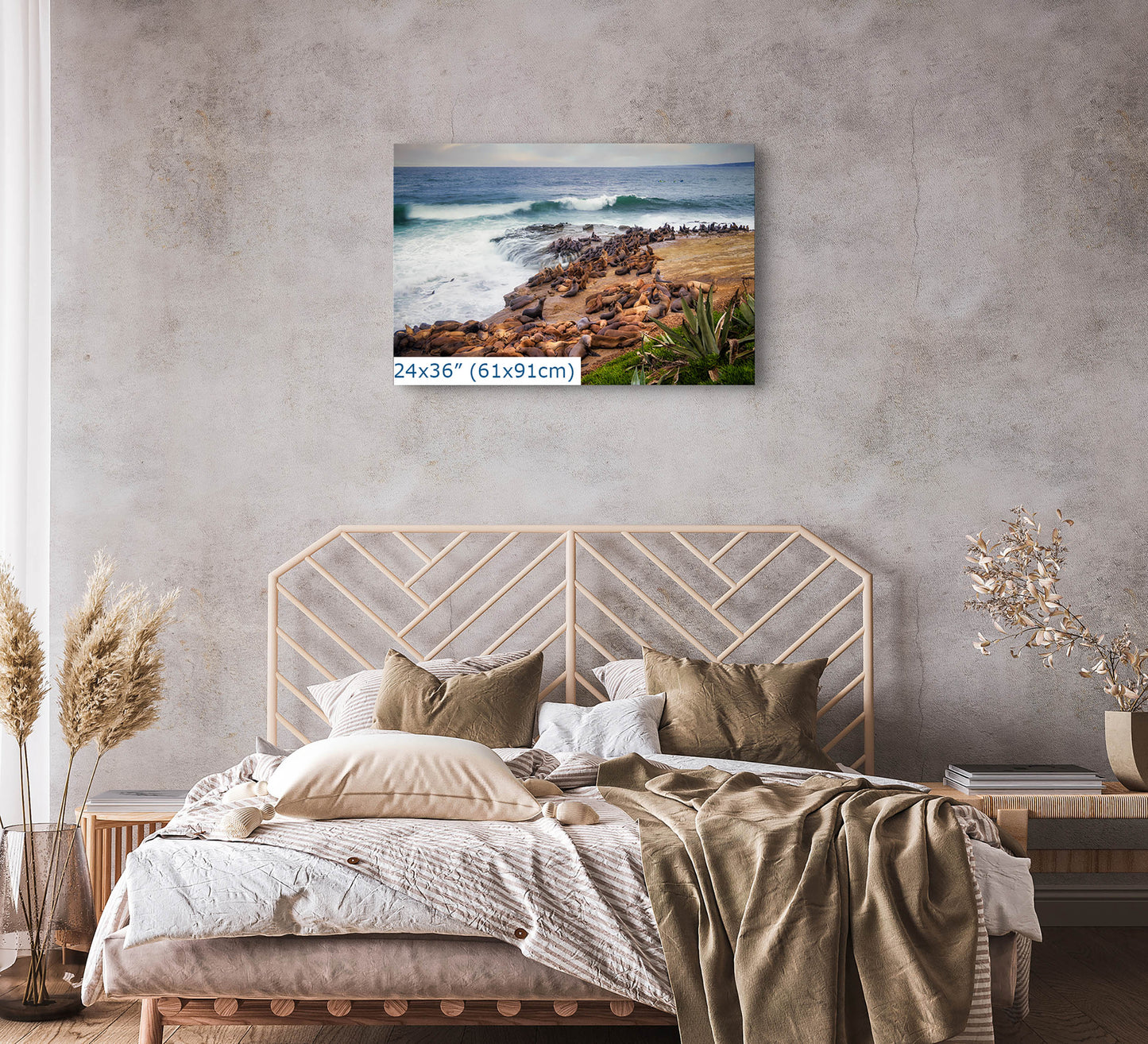 California Sea Lion Marine Mammal Wildlife Photography | Calming Nature Ocean Picture, Relaxation Artwork, La Jolla Coast, Nature Photo