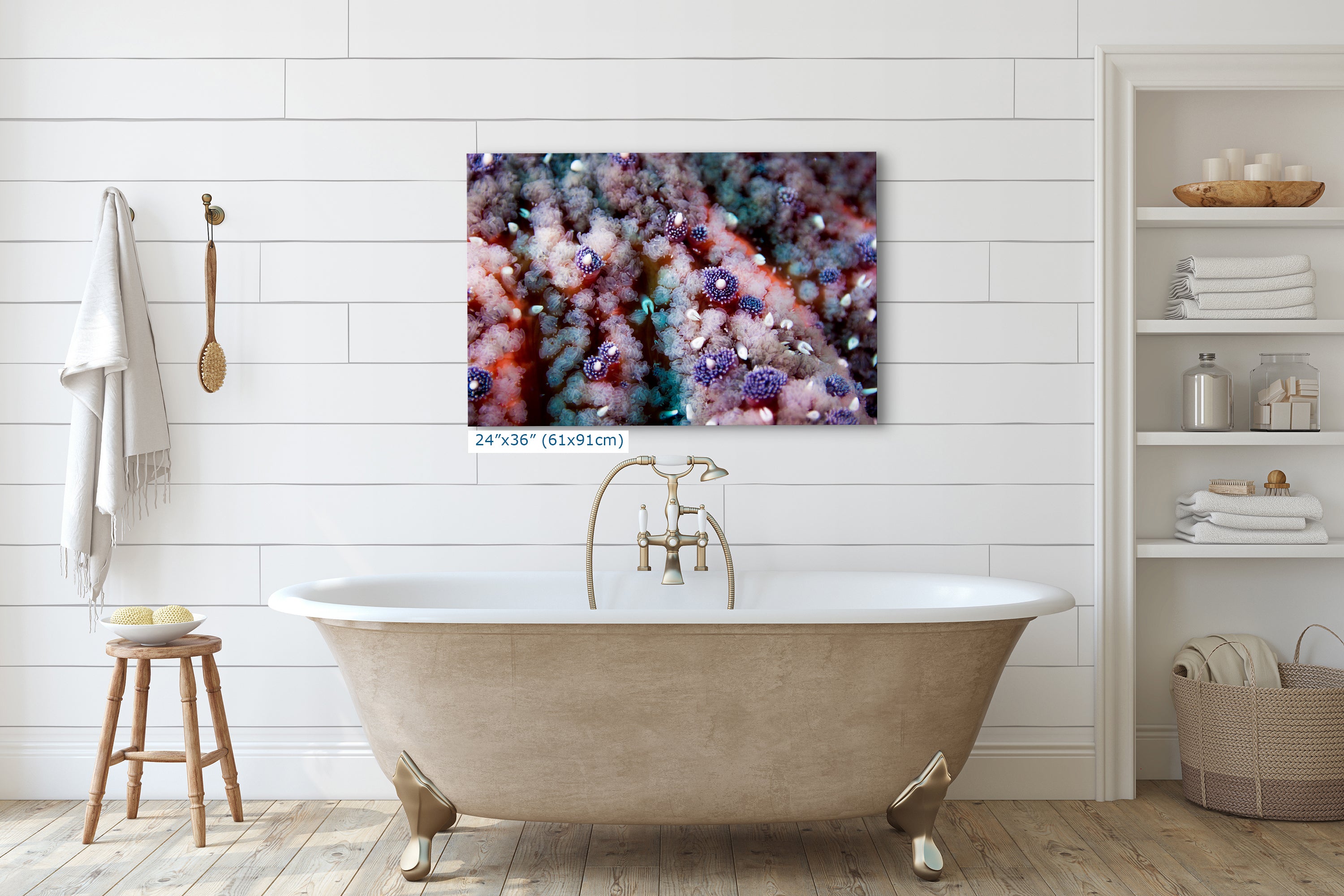 Ocean Life Starfish Photo, Marine Biology Underwater Scenery, Vibrant Coral Reef, Nature Photography for Office Decor, Relaxation Artwork