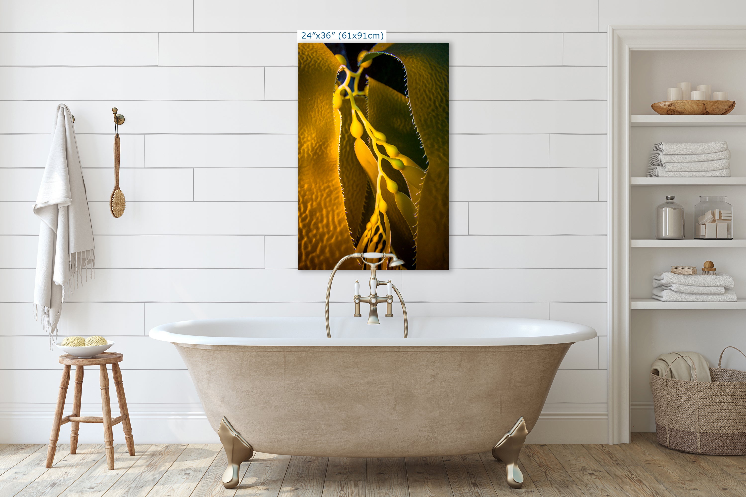 Kelp Forest Seaweed Pictures Underwater Scenery, Ocean Life Marine Life Decor, Nature Photo, Under the Sea Wall Art, Marine Biology Gift