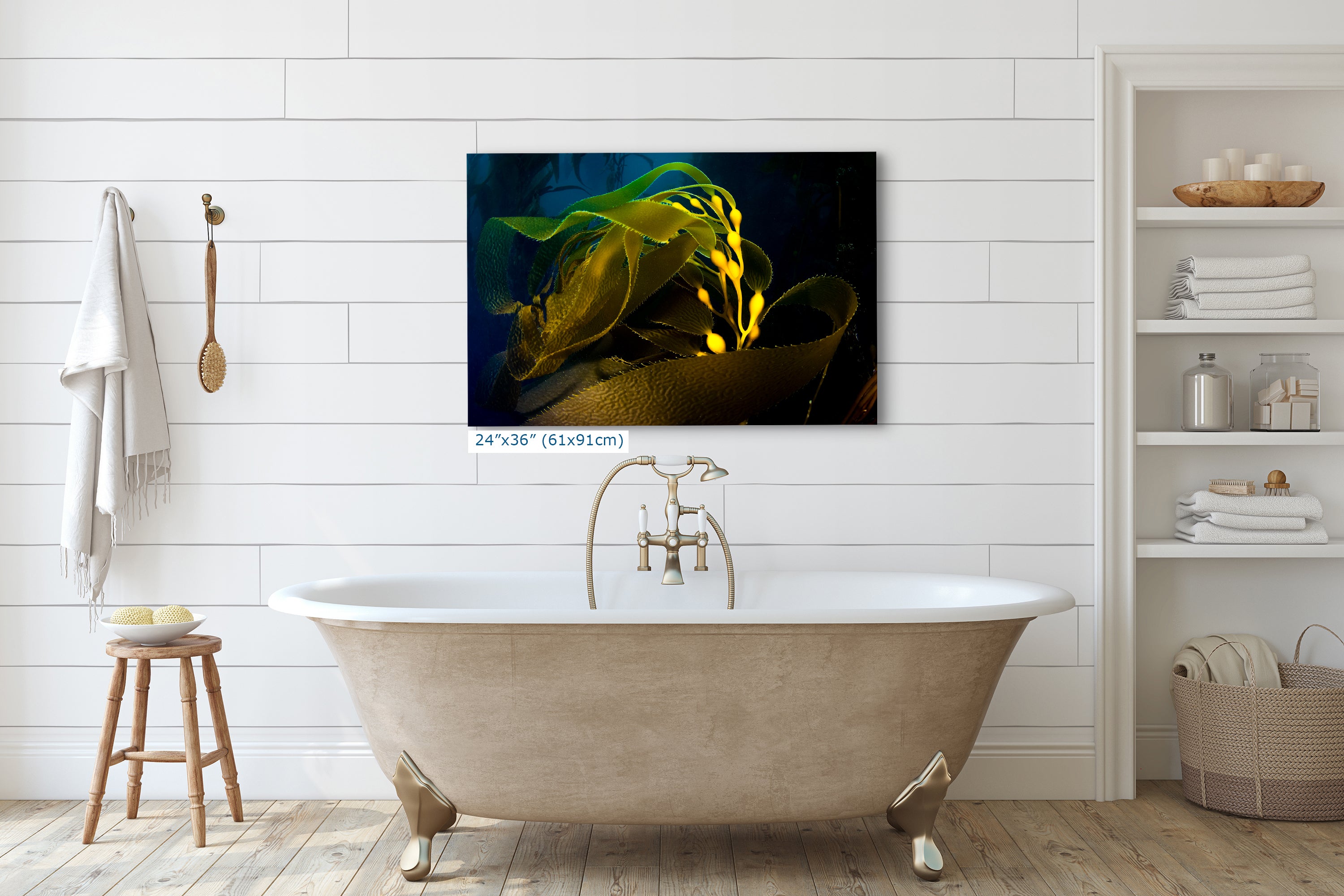 Kelp forest seaweed pictures underwater scenery, ocean life marine biology art, relaxation decor, ocean lover gift, deep sea nature photo