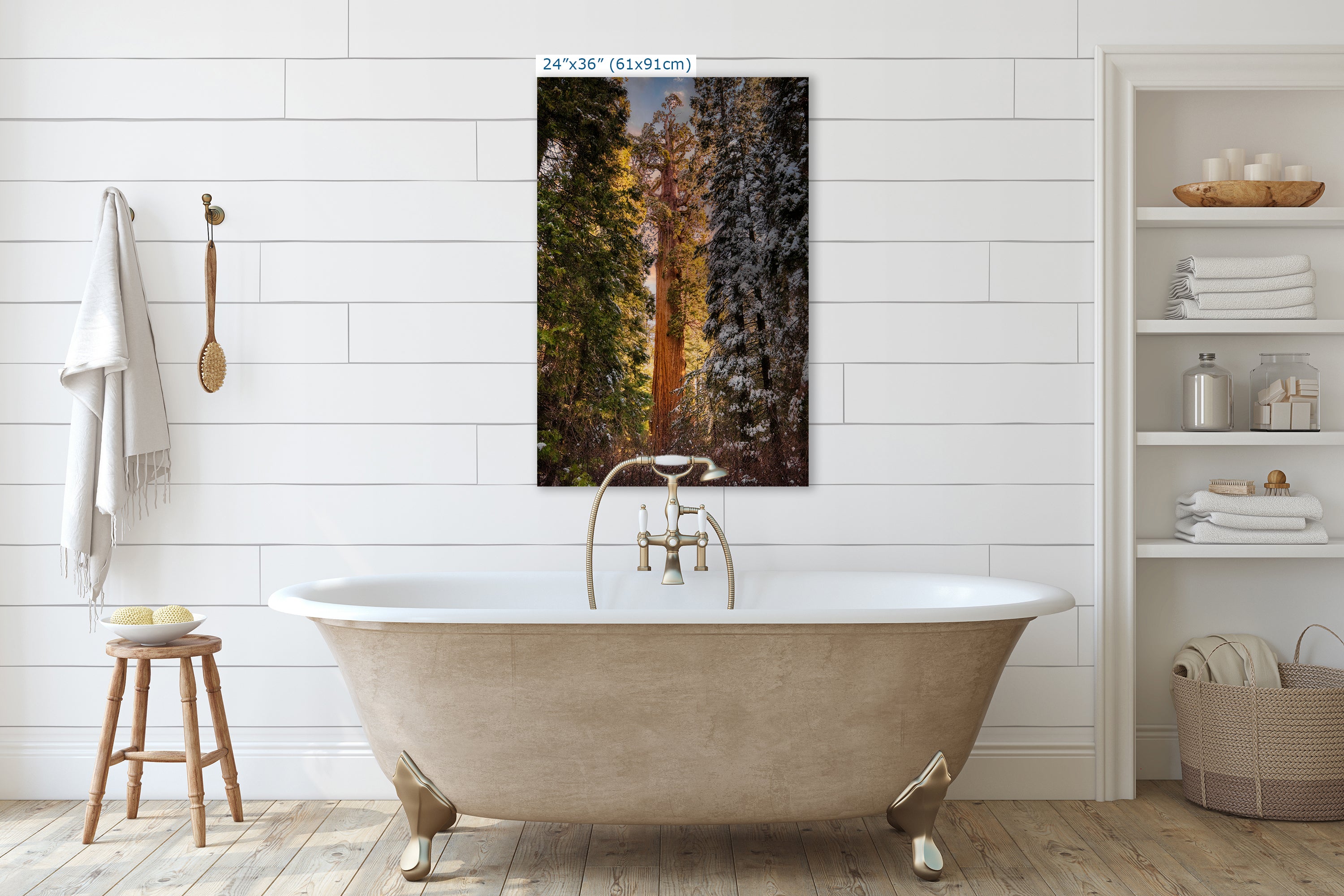Giant Sequoia Tree Forest Picture Nature Photo, Redwood Tree Wall Art, Forest Bathing Decor, Bohemian Style Relaxation Artwork