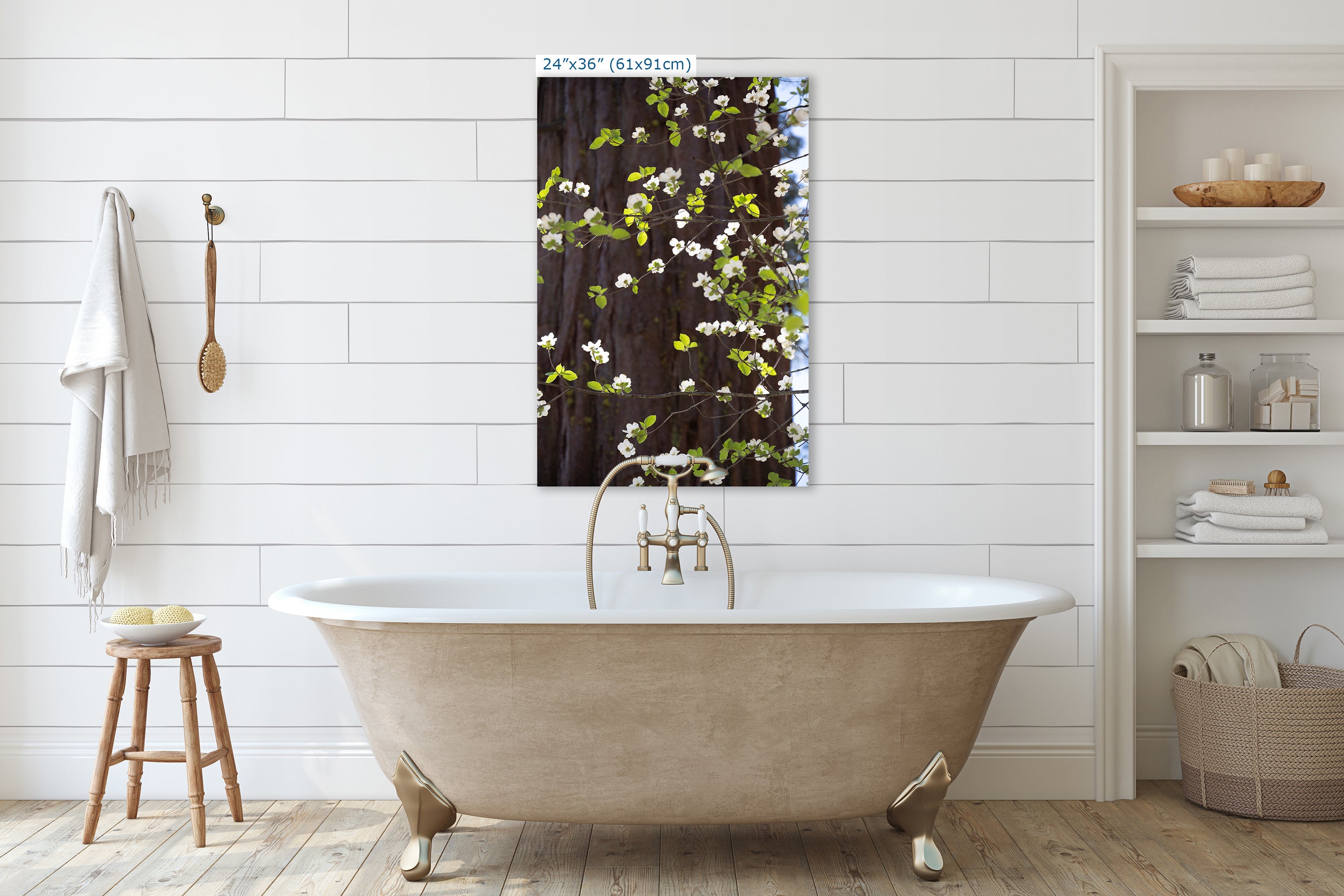 Pacific Dogwood Forest Picture Nature Photo | Yosemite Nature Canvas Print, Forest Bathing for Meditation, Relaxation, Dorm Room Decor