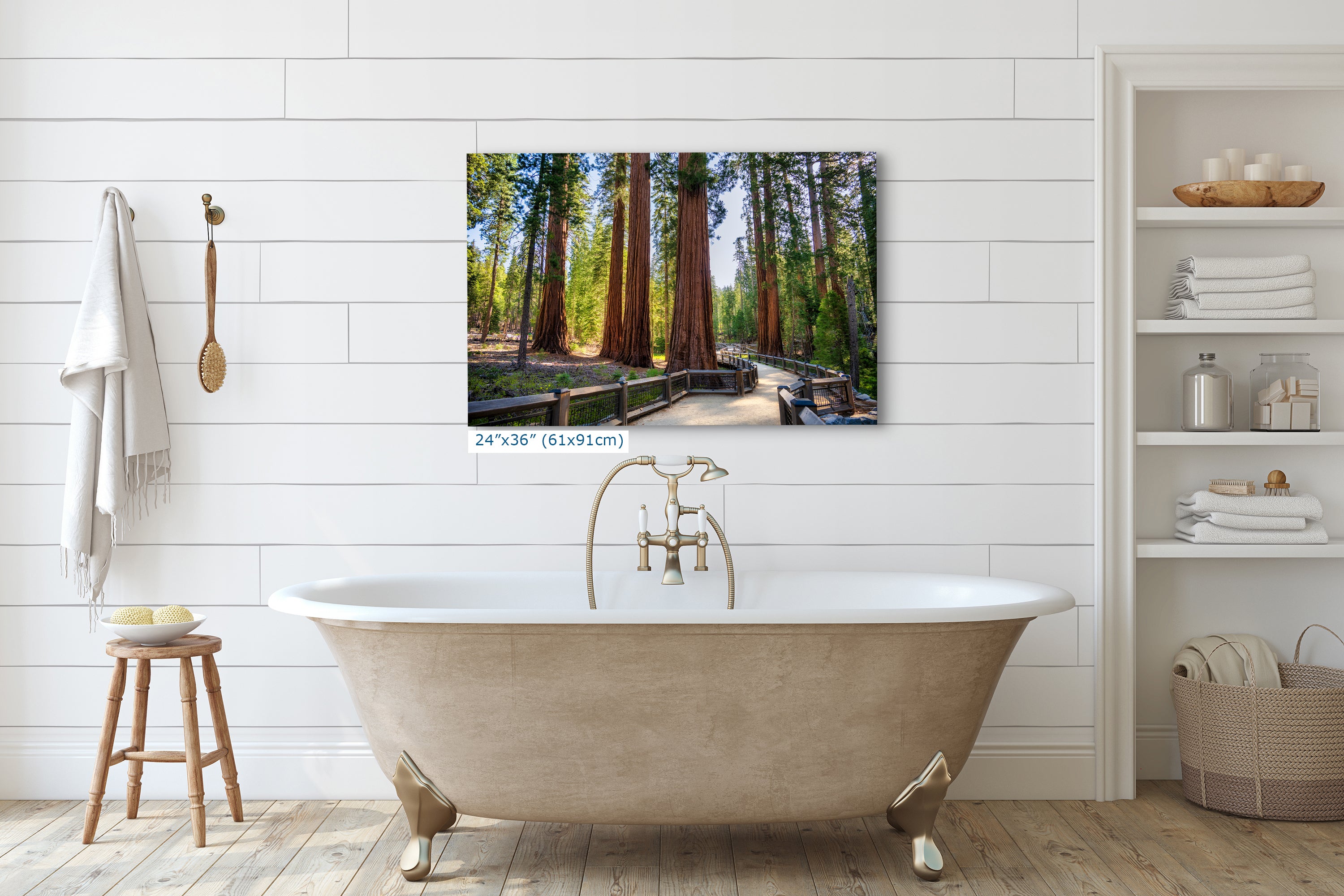 Giant Sequoia Tree Forest Picture Nature Photo | Yosemite Redwood Trees for Nature Lovers & Forest Bathing Relaxation, Meditation Artwork