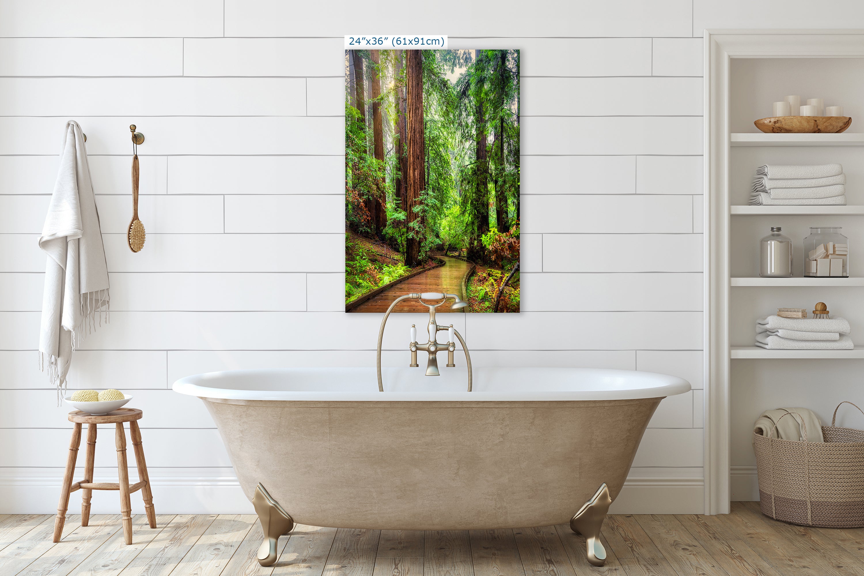 Redwood Trees Forest Picture Sunrise Nature Photo, Forest Bathing House Decor, Relaxing Wall Art for Meditation, Home and Office