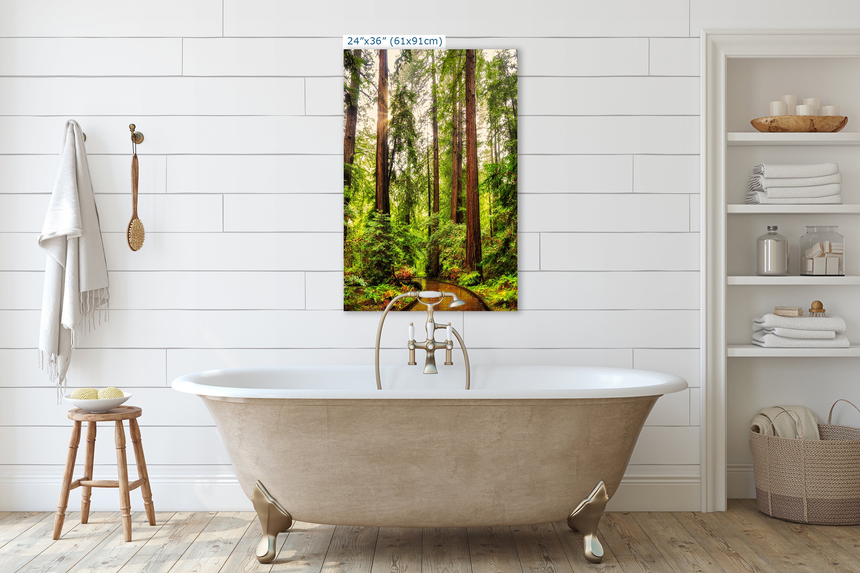 Redwood Trees Forest Picture Nature Photo, Forest Bathing House Decor