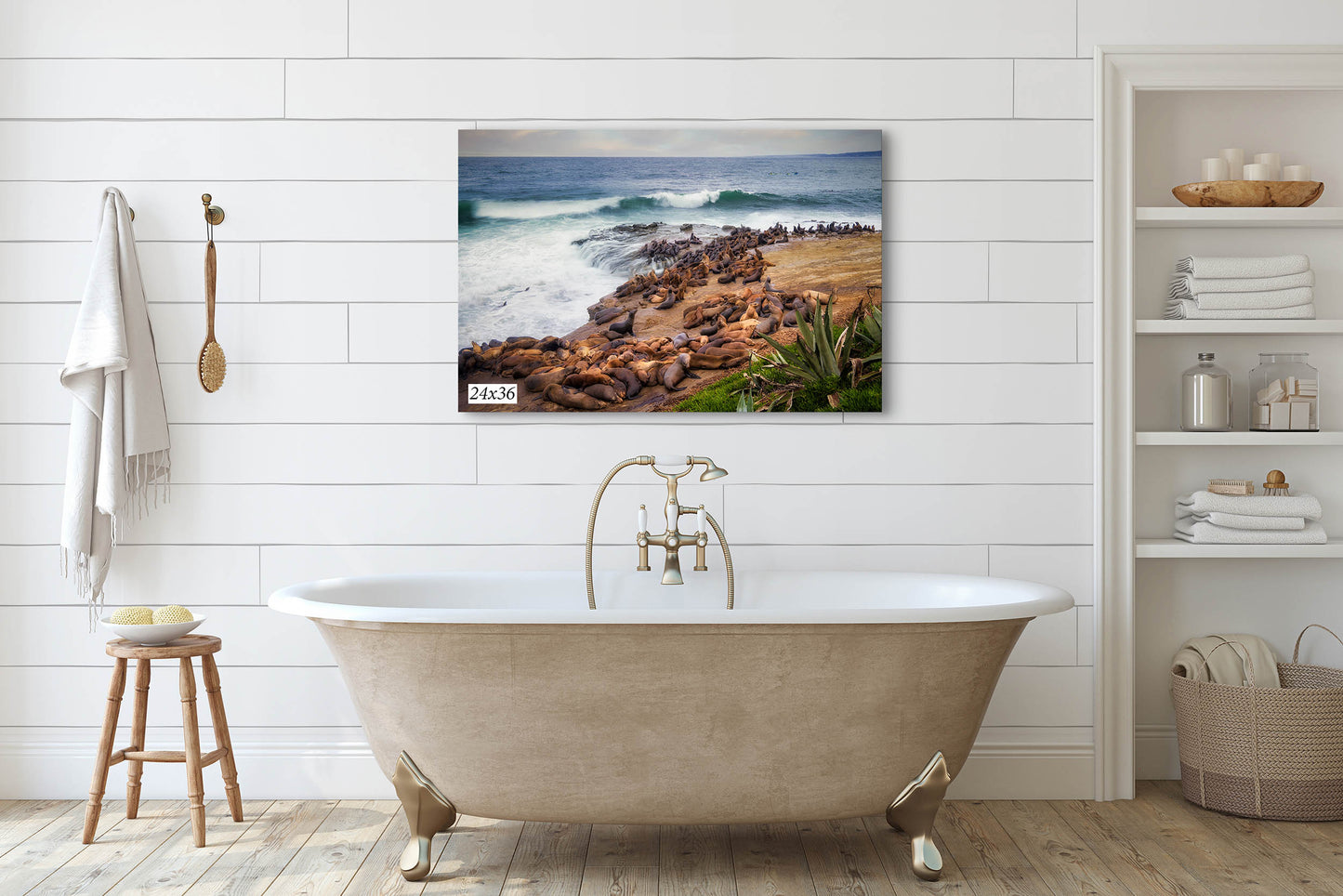 California Sea Lion Marine Mammal Wildlife Photography | Calming Nature Ocean Picture, Relaxation Artwork, La Jolla Coast, Nature Photo