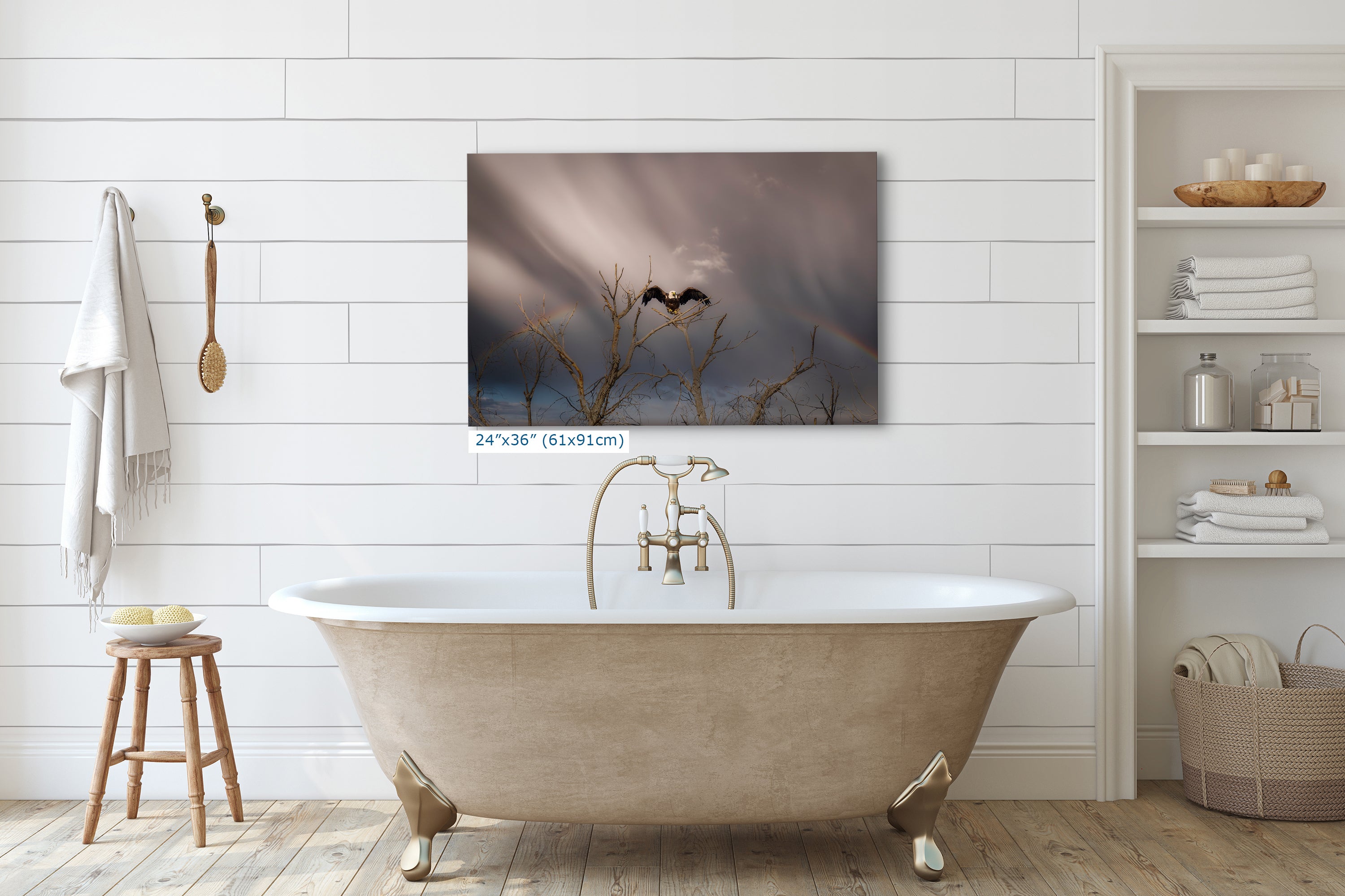 Bald Eagle Picture Wildlife Photography Wall Art, Nature Photo, Bird Photography, Rustic Cabin Decor, Office or Dorm Room Wall Decor