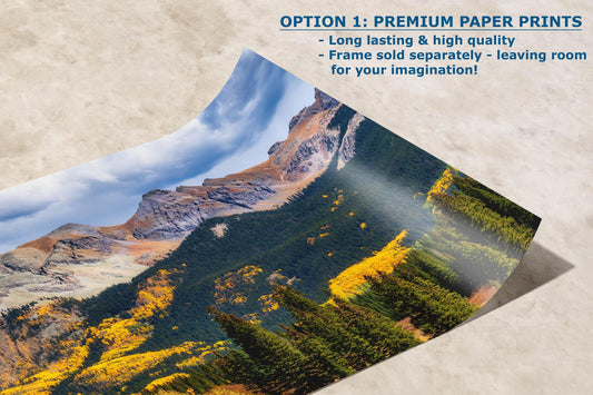 Colorado San Juan Mountain Picture, Fall Colors Yellow Aspen Trees Forest Picture Nature Photo for Relaxation Artwork, Meditation and House Decor